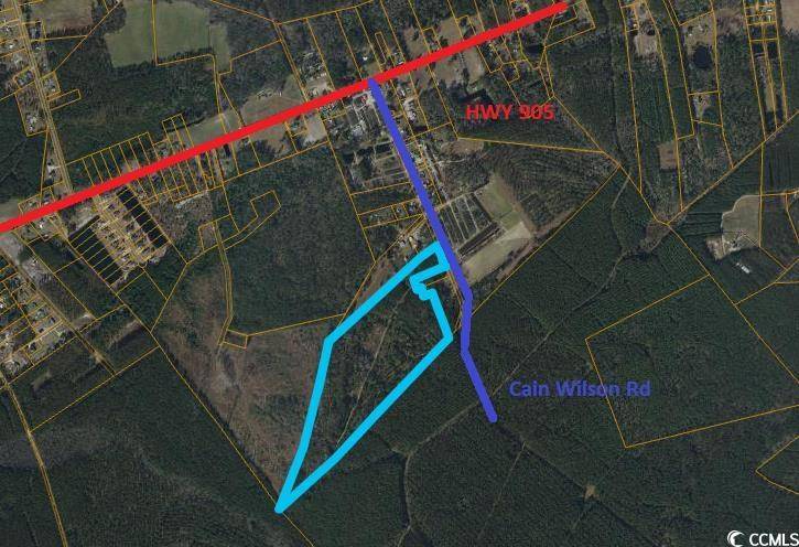 Conway, SC 29526,TBD Cain Wilson Rd.