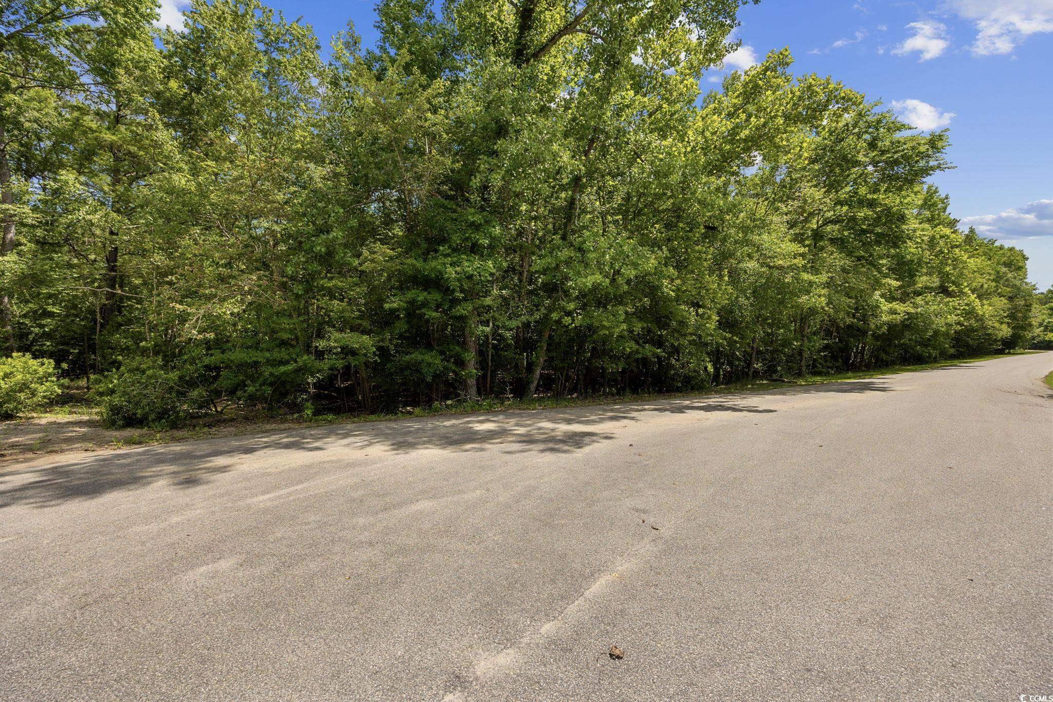 Conway, SC 29526,TBD Riverside Dr.