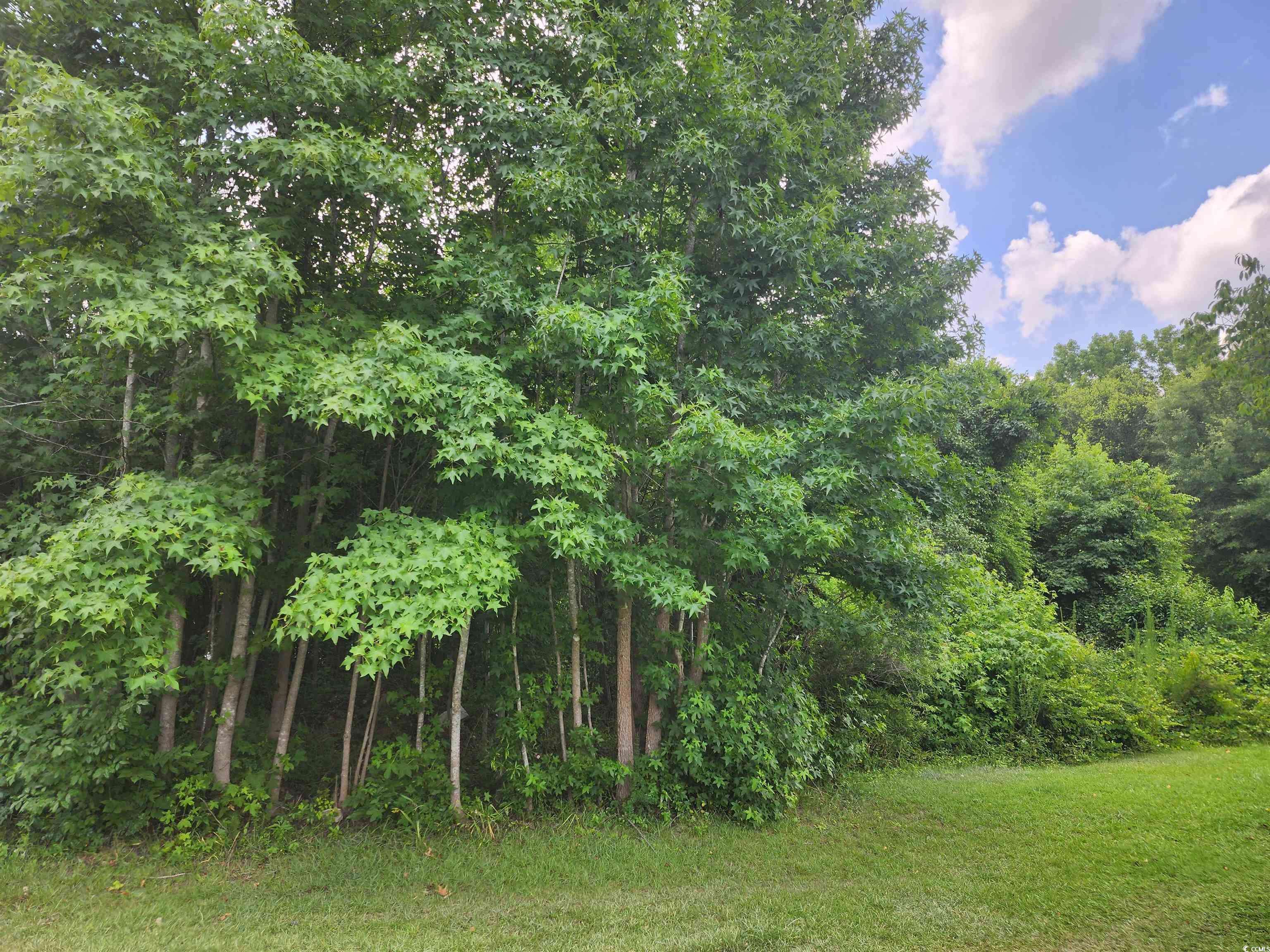 Florence, SC 29501,1919 Fairfield Circle
