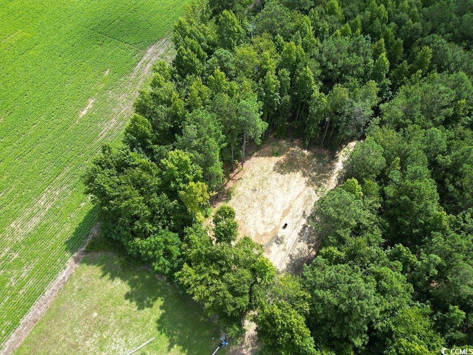 Nichols, SC 29581,TBD Spring Branch Rd.