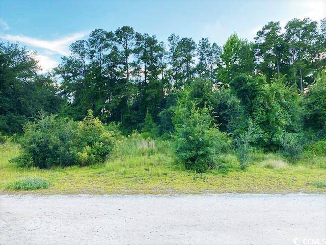 Dillon, SC 29536,Lot 1 Ivanhoe Pl.