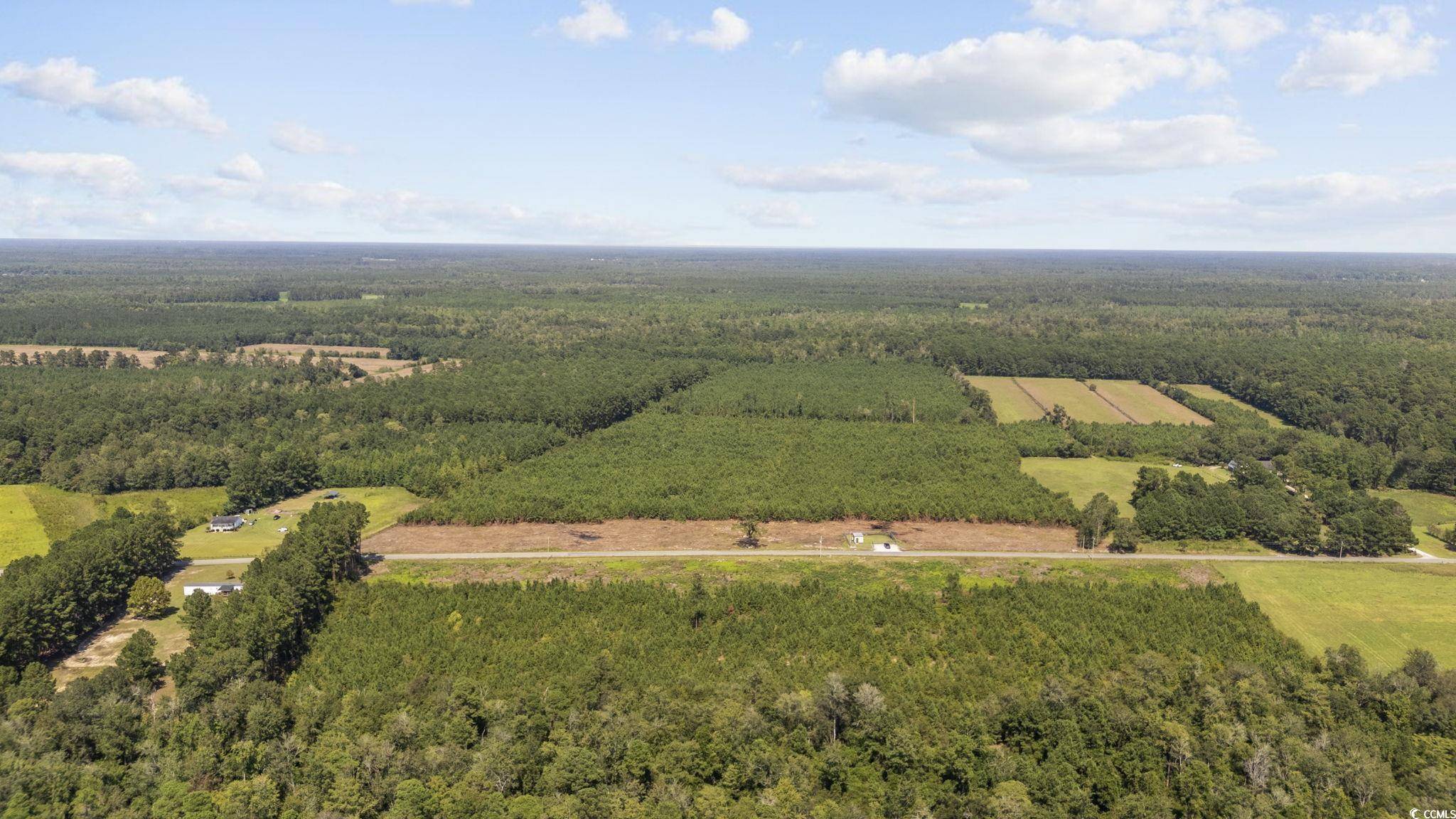 Nichols, SC 29581,Lot B1 Black Creek Rd.