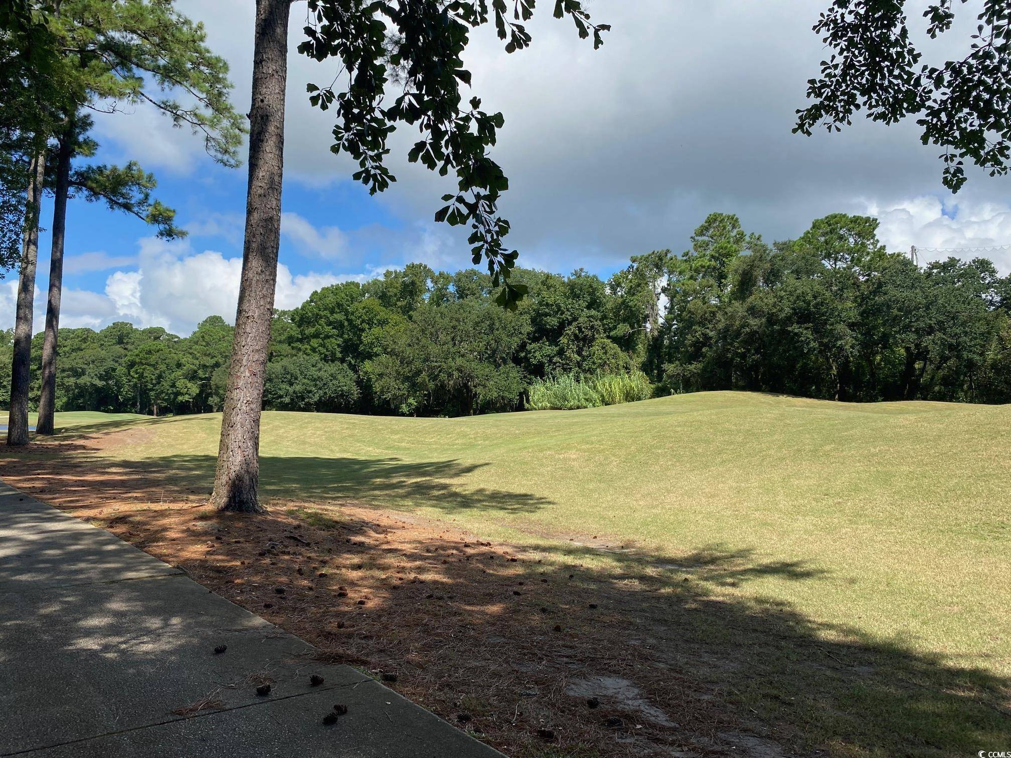 Pawleys Island, SC 29585,lot 22 Grey Fox Loop