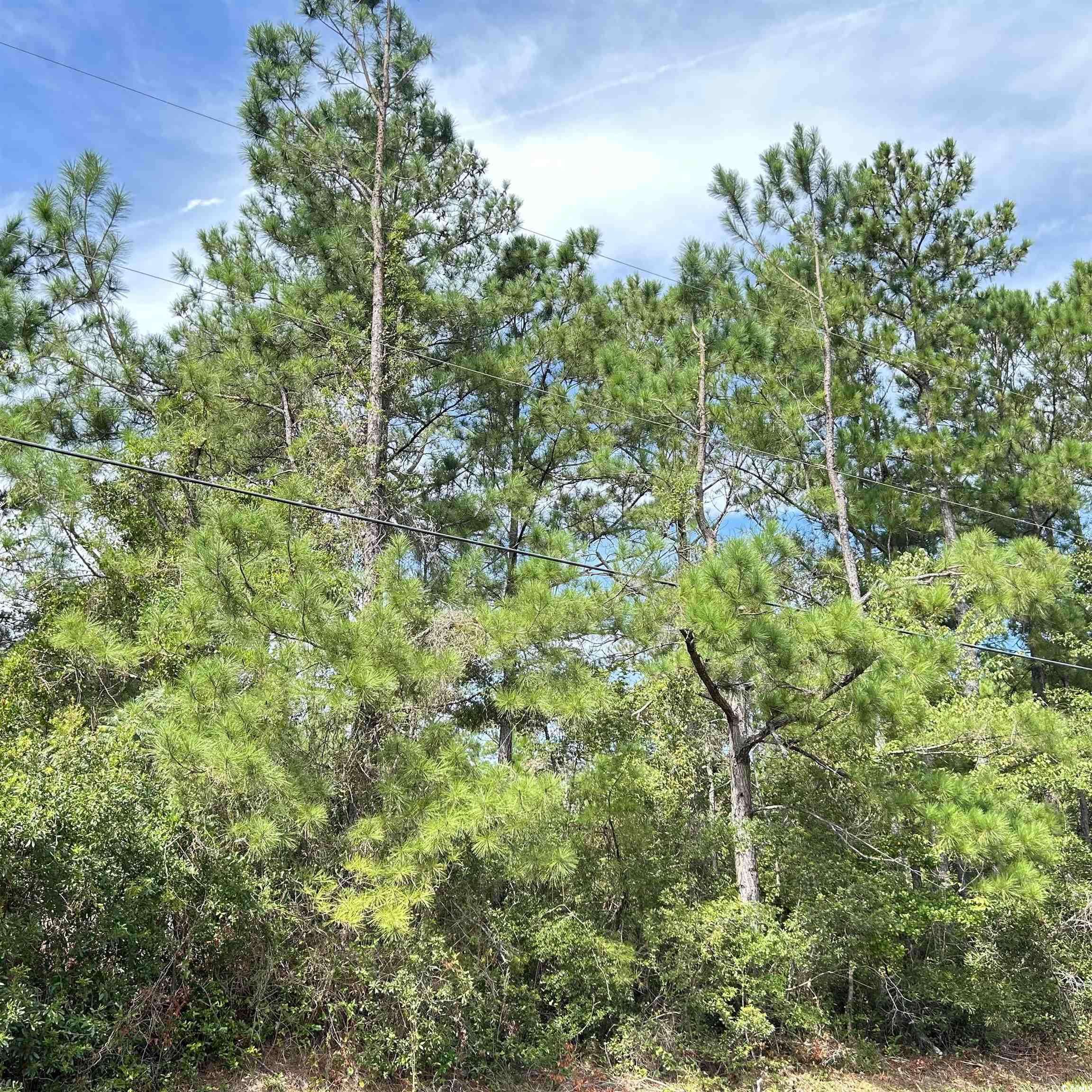 Pawleys Island, SC 29585,153 Beaumont Dr.