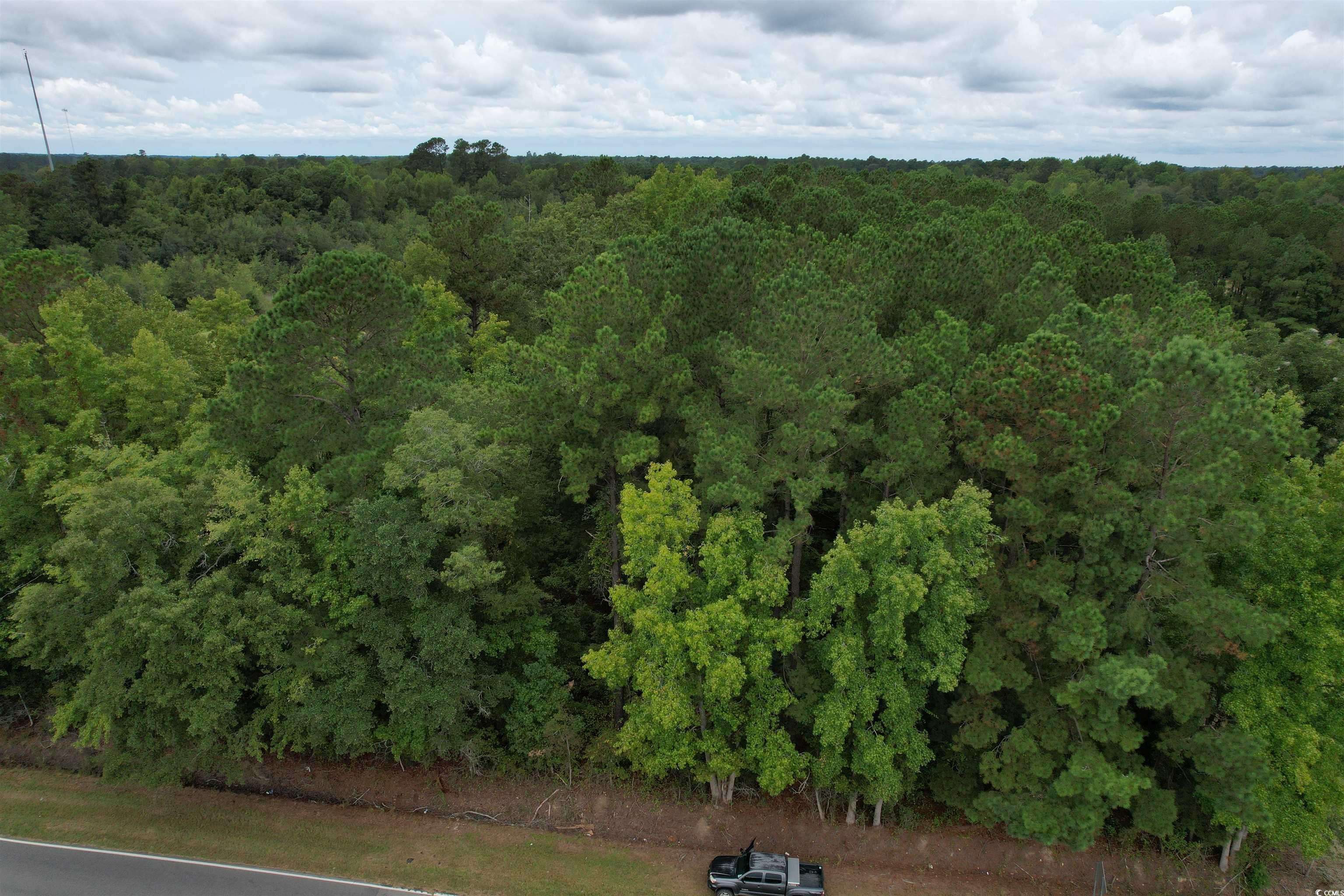 Centenary, SC 29519,2 Acres-TBD Highway 41