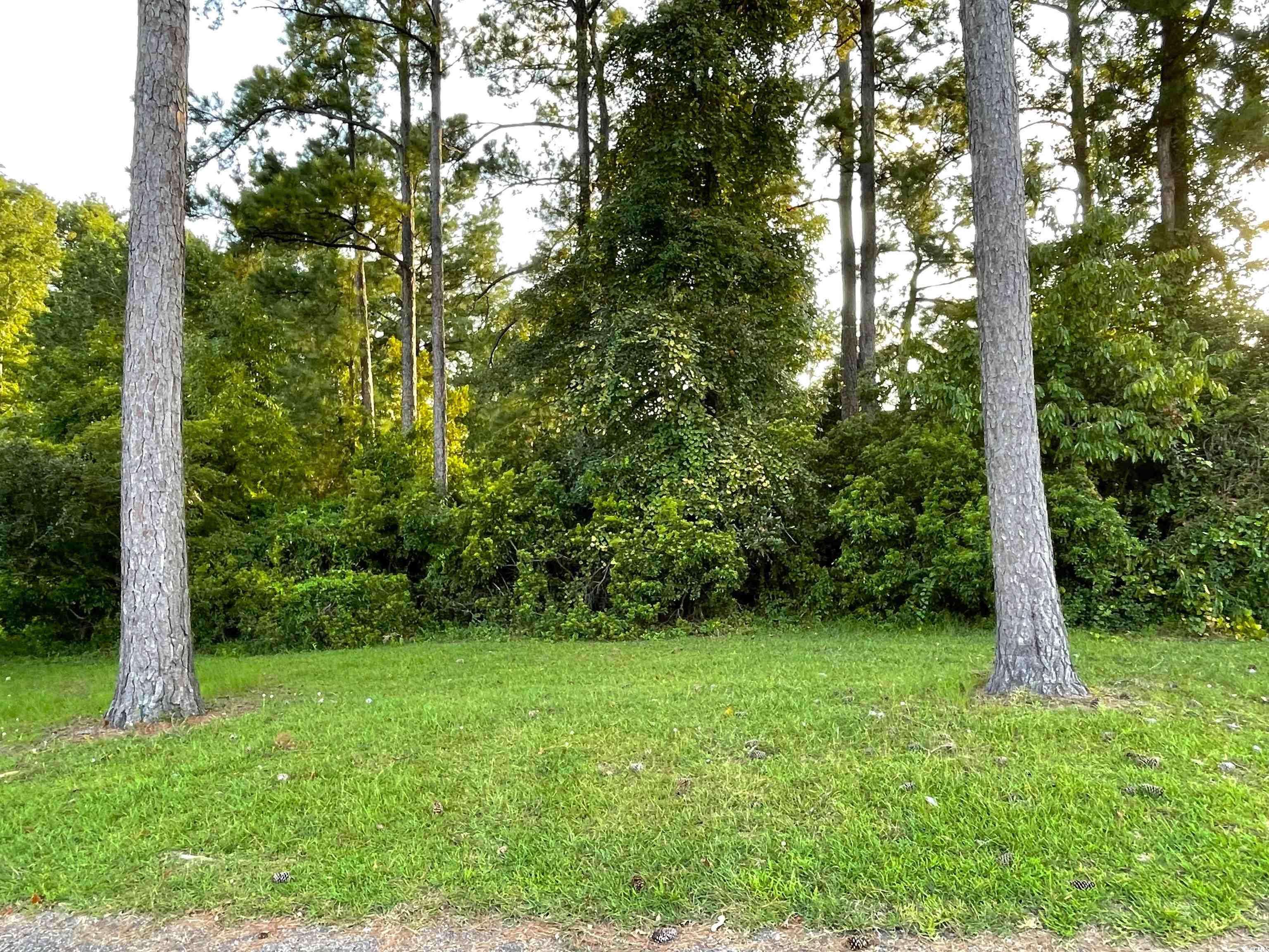 Little River, SC 29566,500 Spauldingwood Rd.