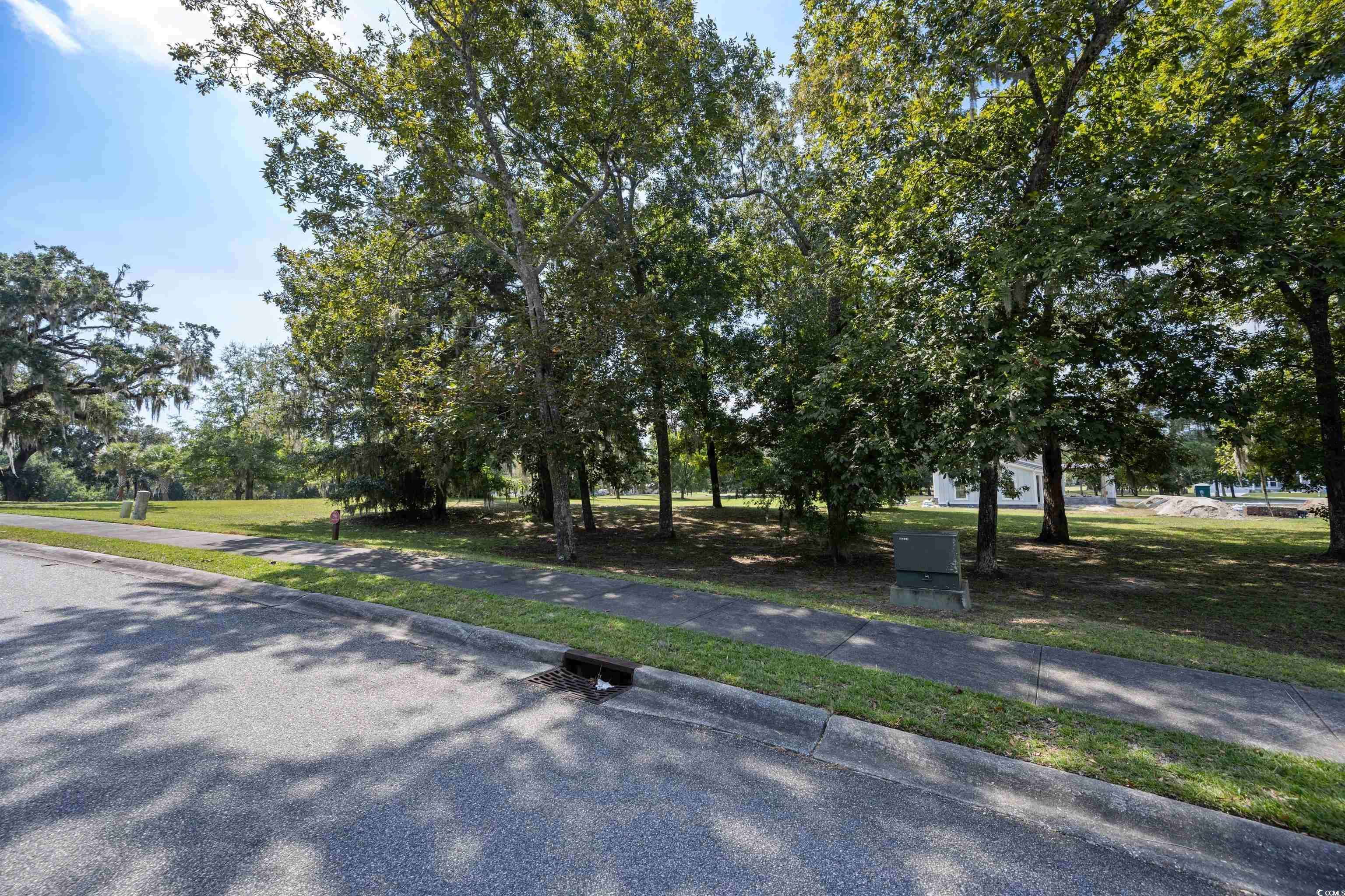 Georgetown, SC 29440,Lot 56 Lagrange Rd.
