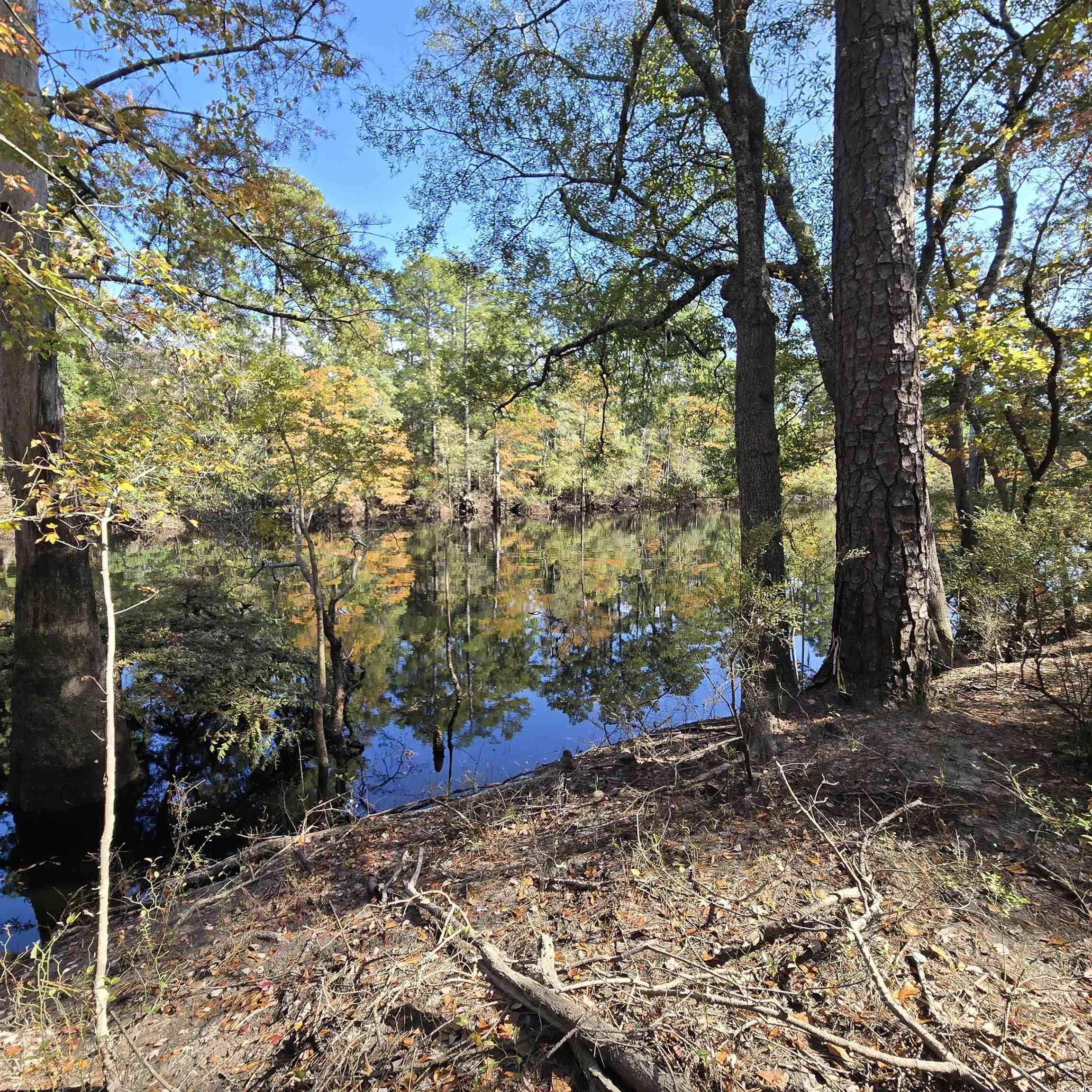 Conway, SC 29526,361 Cypress Flat Ct.