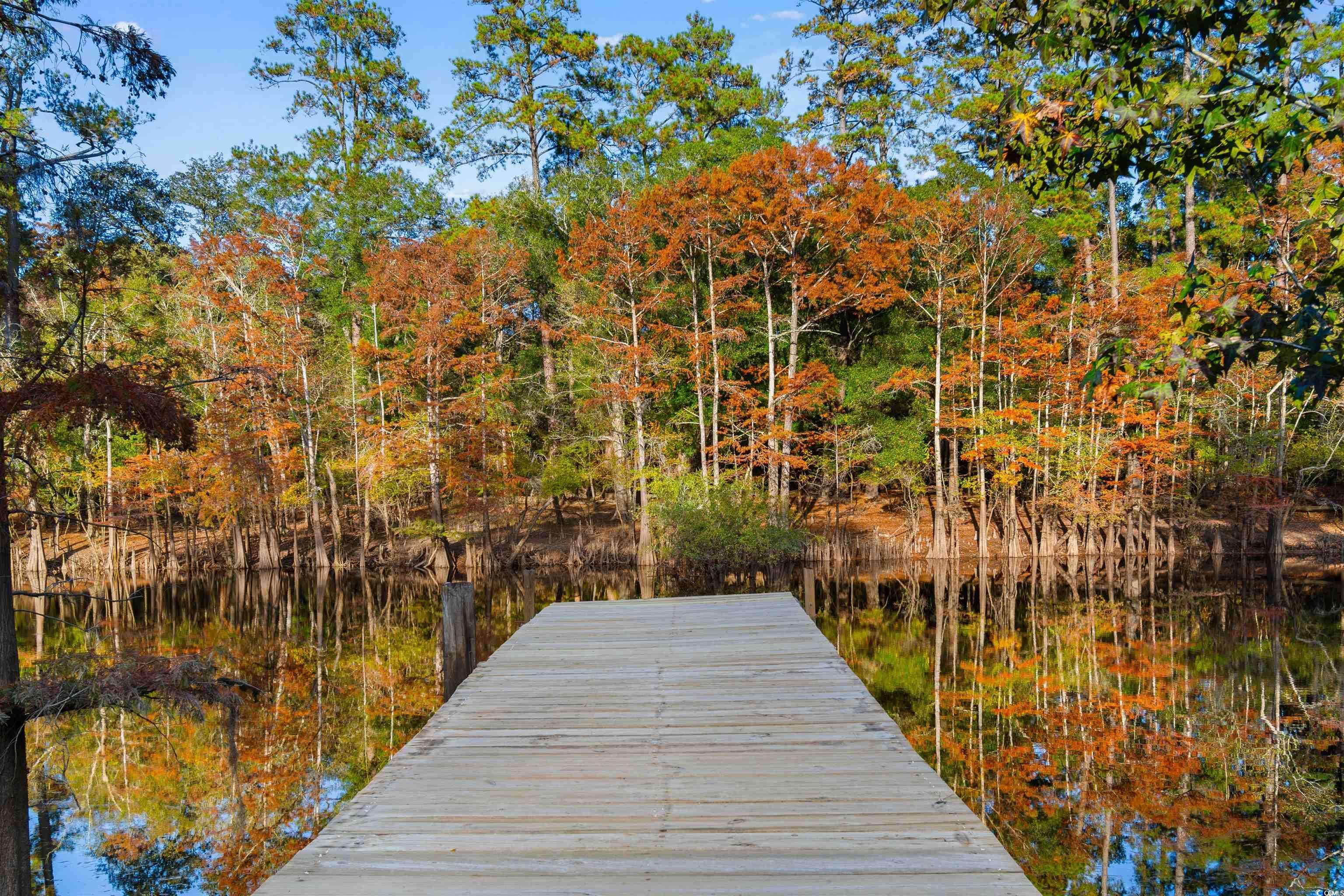 Conway, SC 29526,1599 Waccamaw Circle