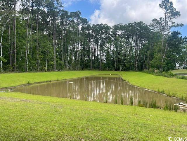 Murrells Inlet, SC 29576,9746 Indigo Creek Blvd.