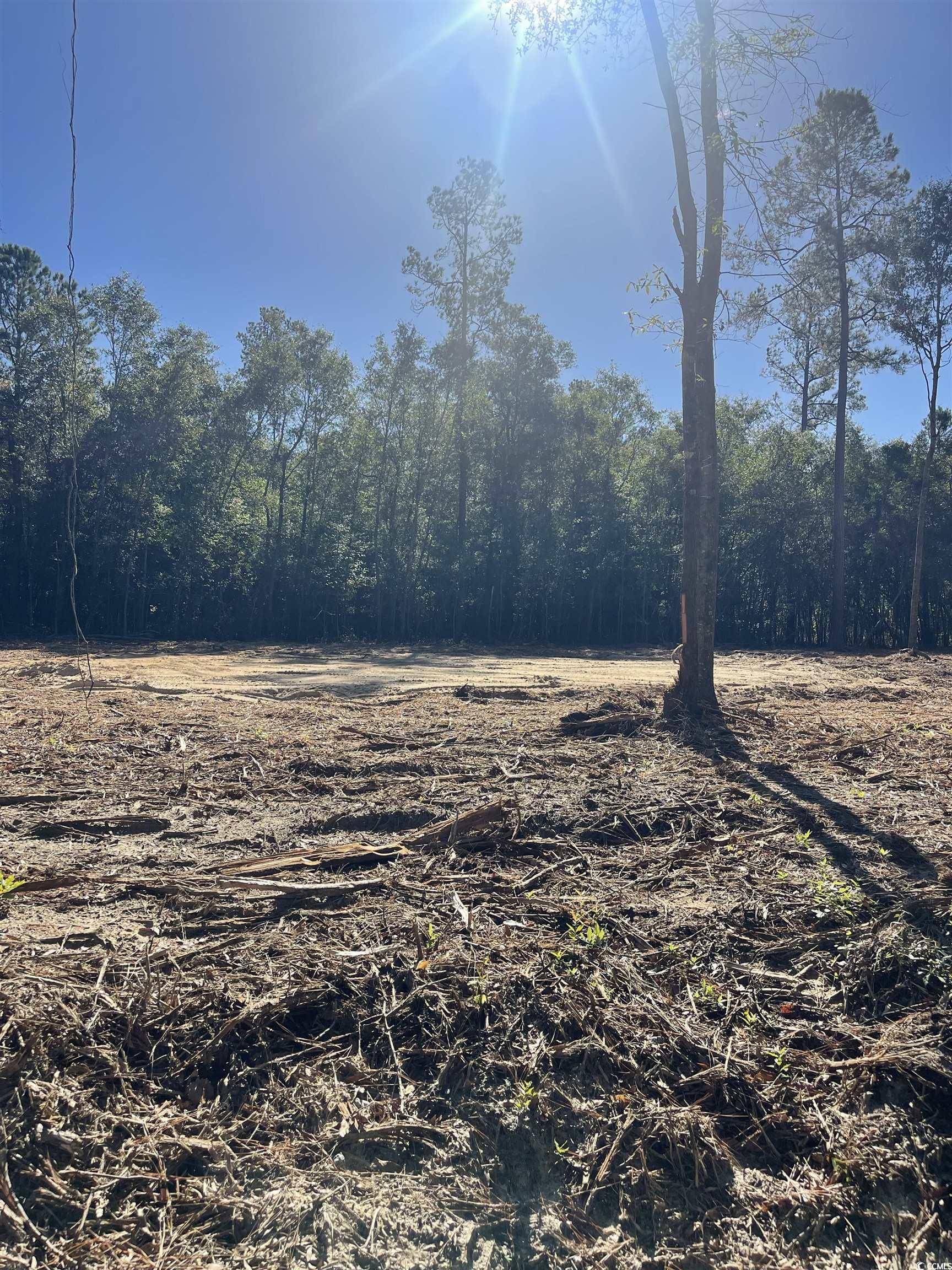 Marion, SC 29571,Lot 8 Marvin Ct.
