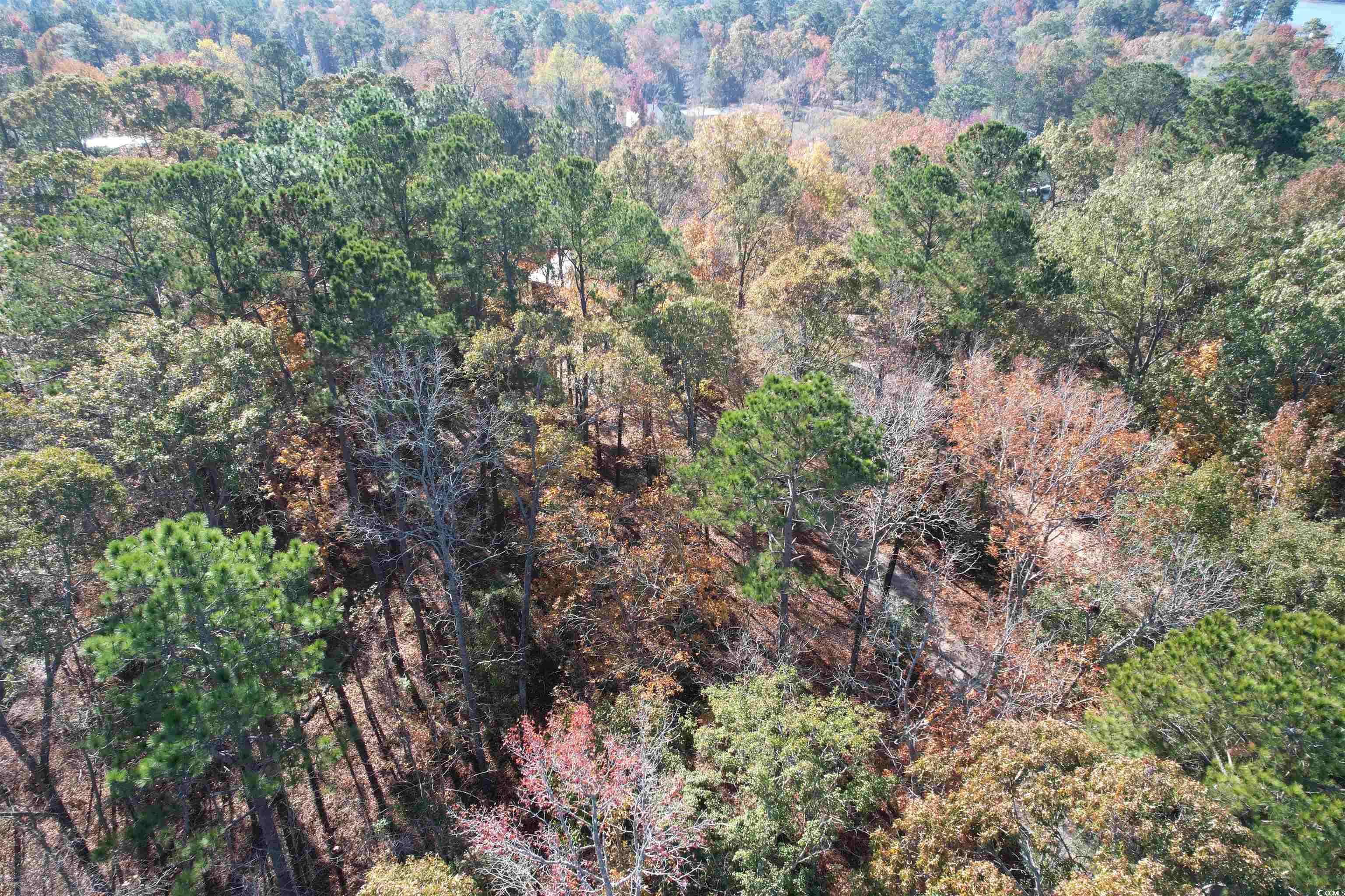 Manning, SC 29102,TBD Charles Dr.