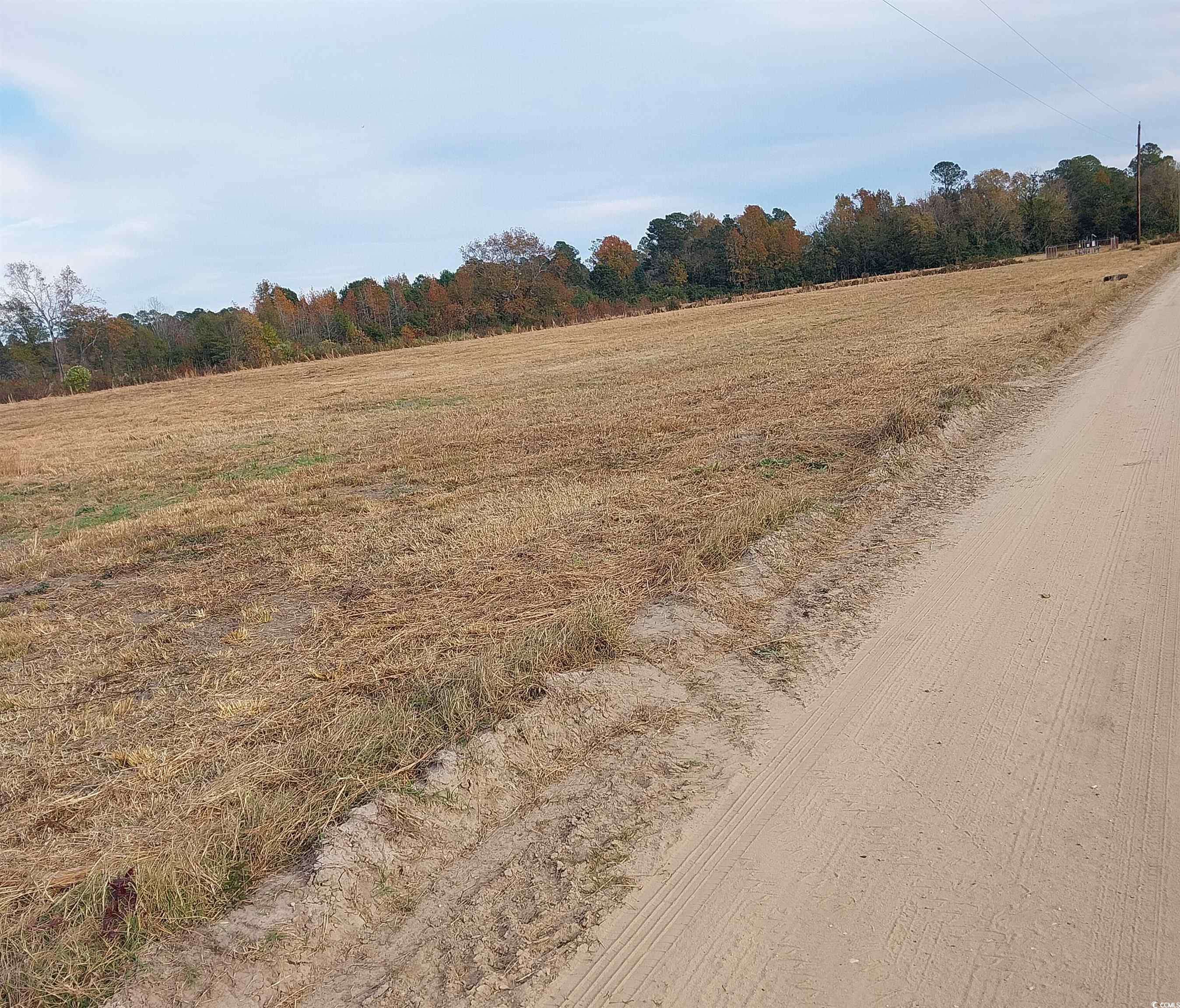 Mullins, SC 29574,lot 1 Davis Lane