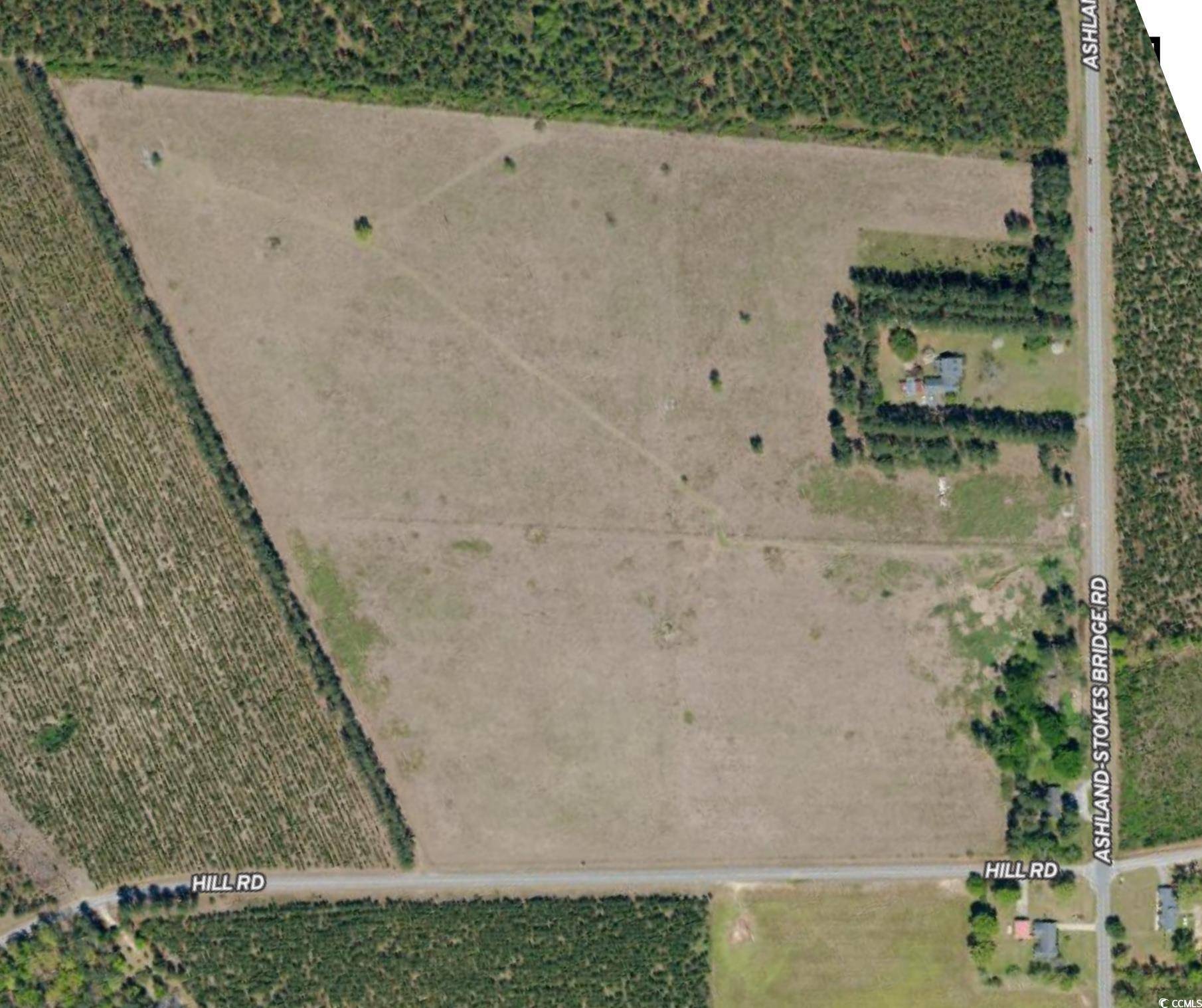 Bishopville, SC 29010,Lot C Hill Rd.