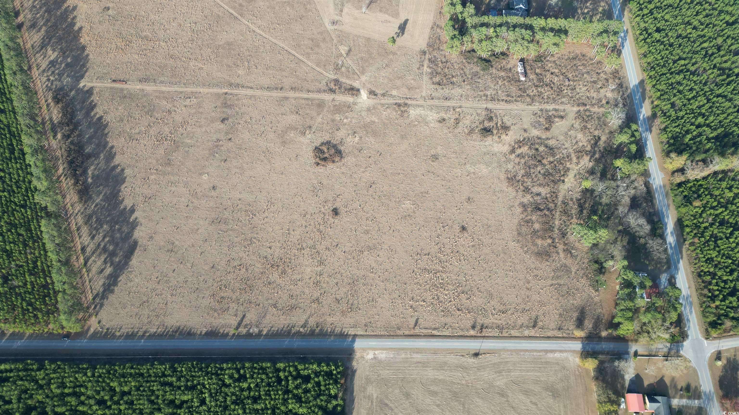 Bishopville, SC 29010,Lot D Hill Rd.