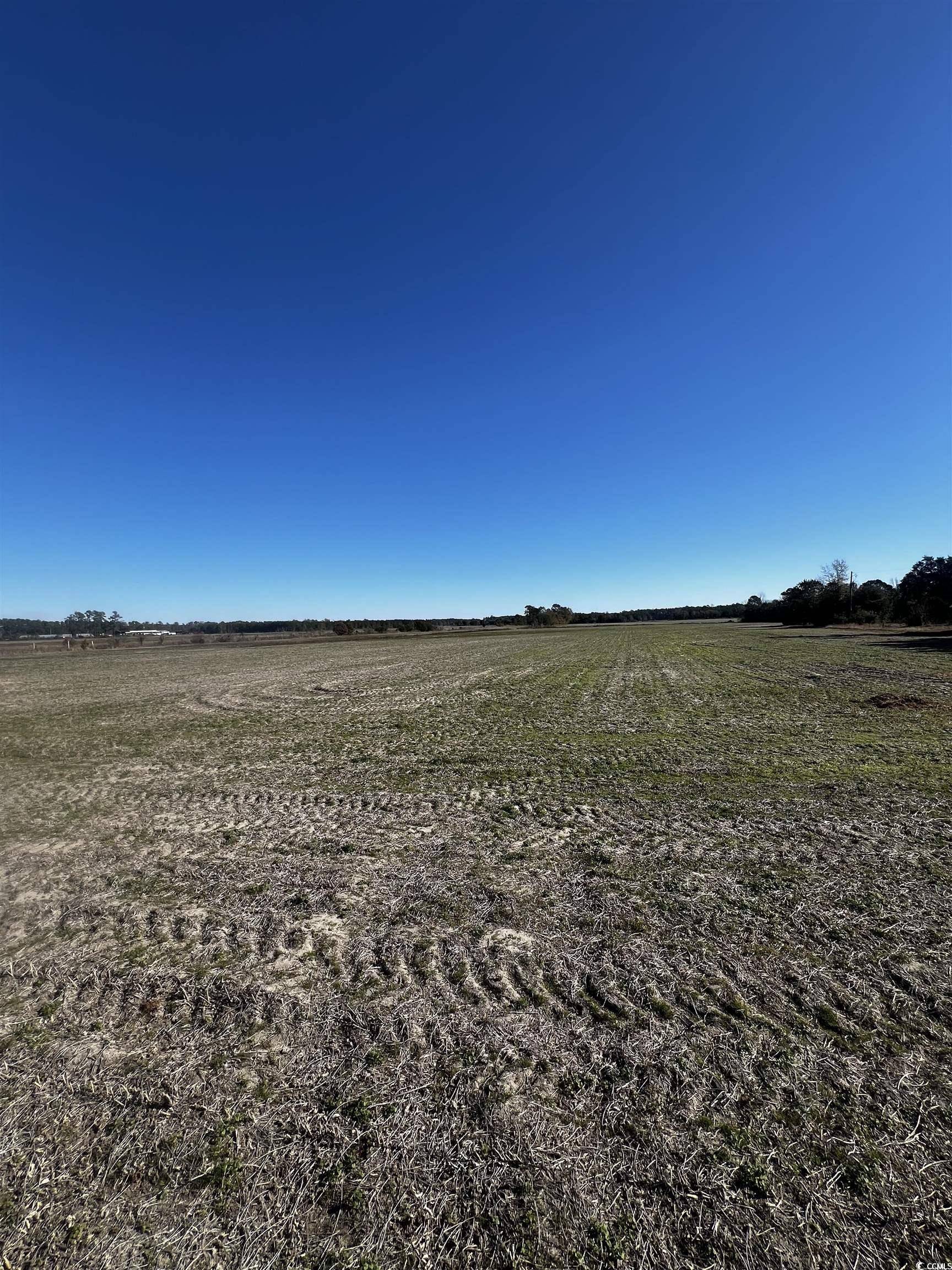 Aynor, SC 29511,2292 Nichols Hwy.