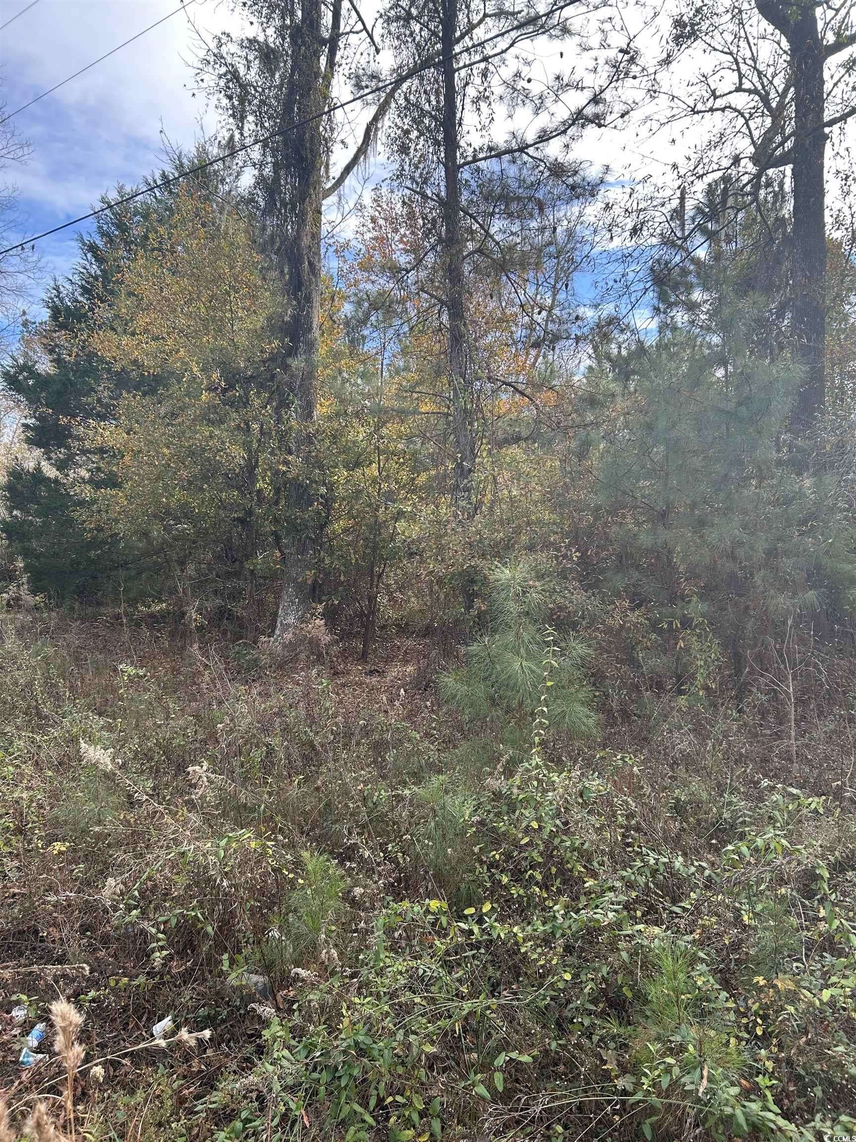 Kingstree, SD 29556,89 Jerusalem Dr.
