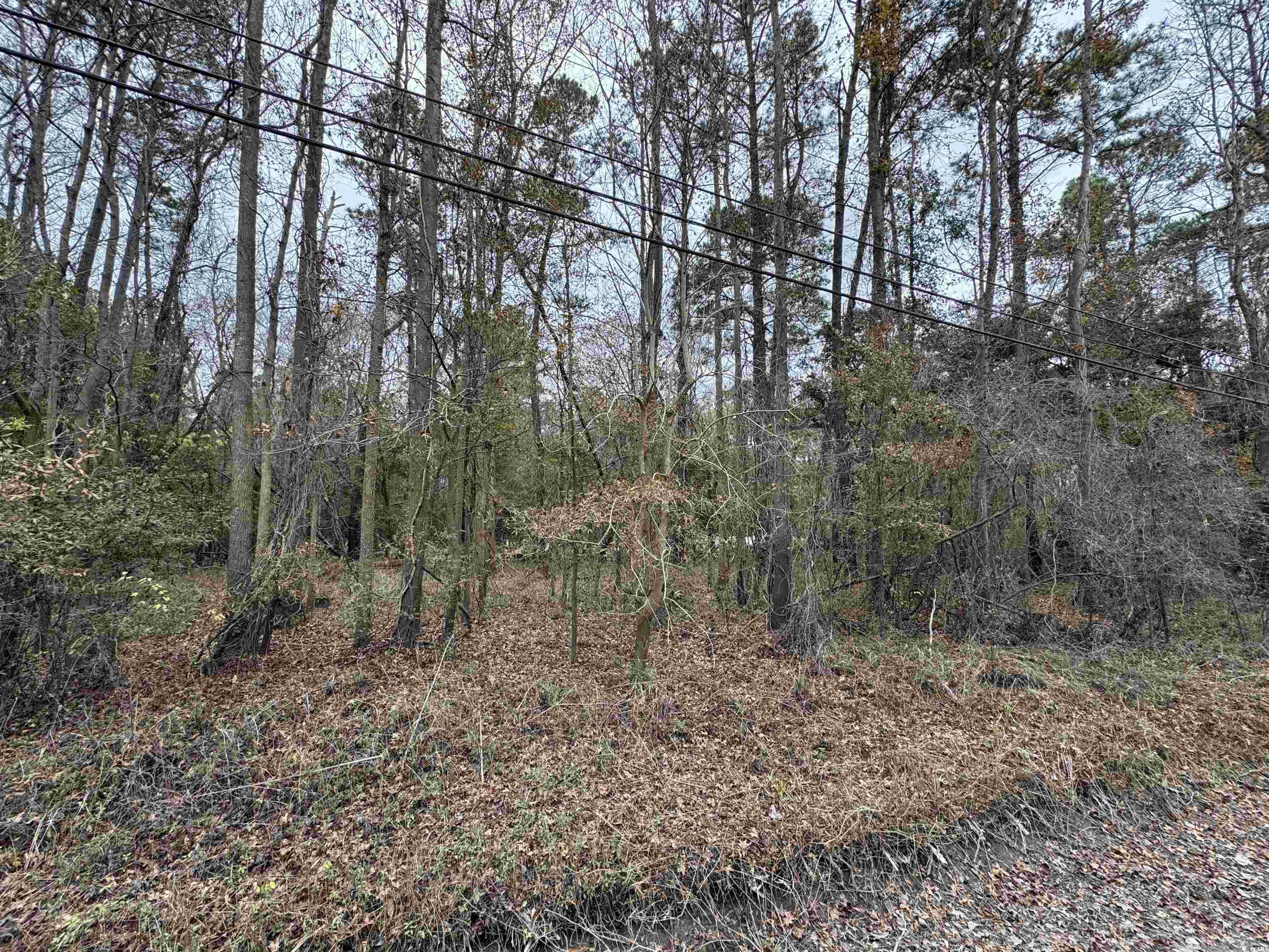 Conway, SC 29527,Lot 3 New Rd.