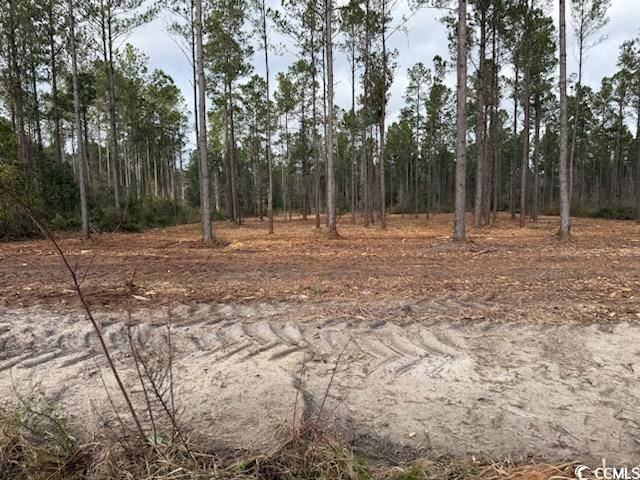 Conway, SC 29527,5.47 Acs Kates Bay Hwy.