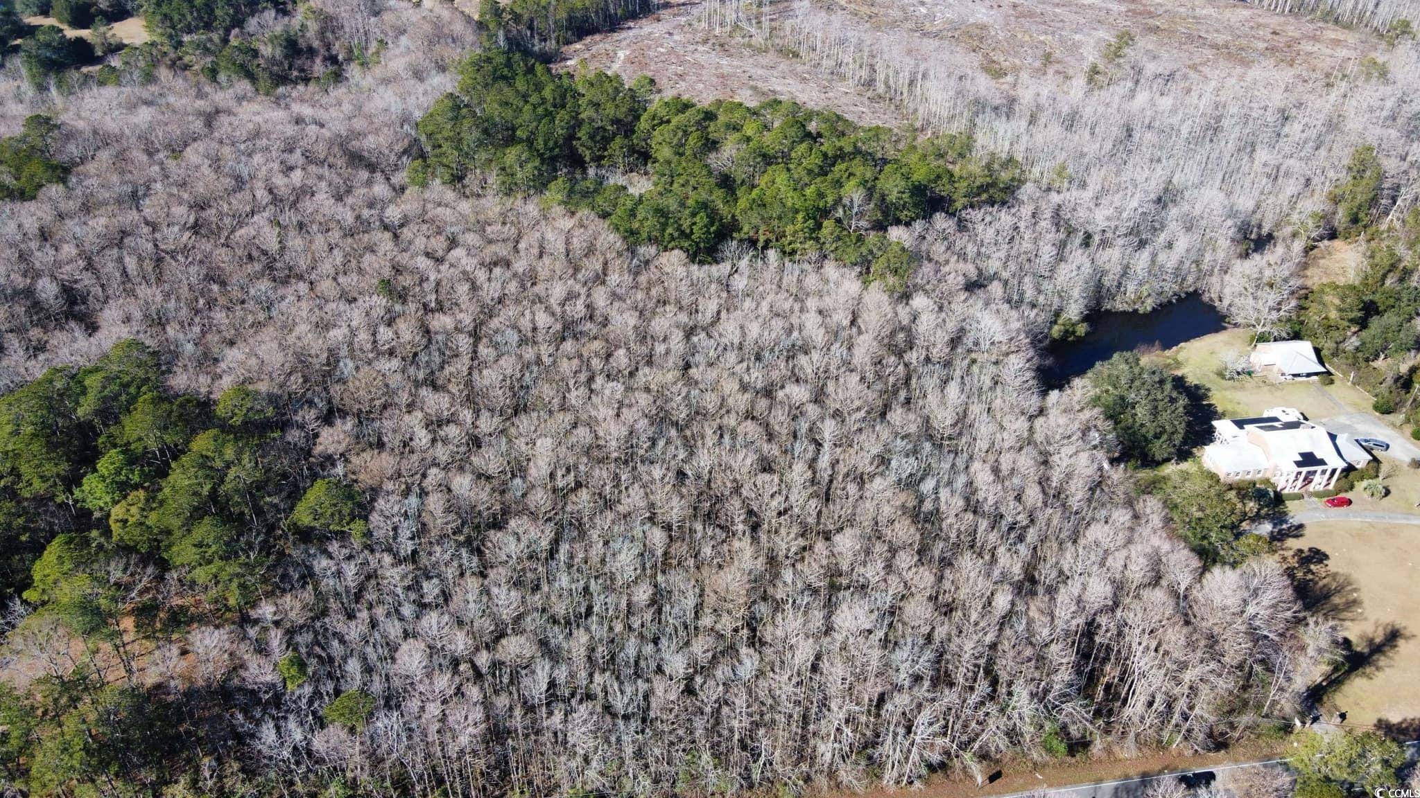 Georgetown, SC 29440,3143 South Island Rd.