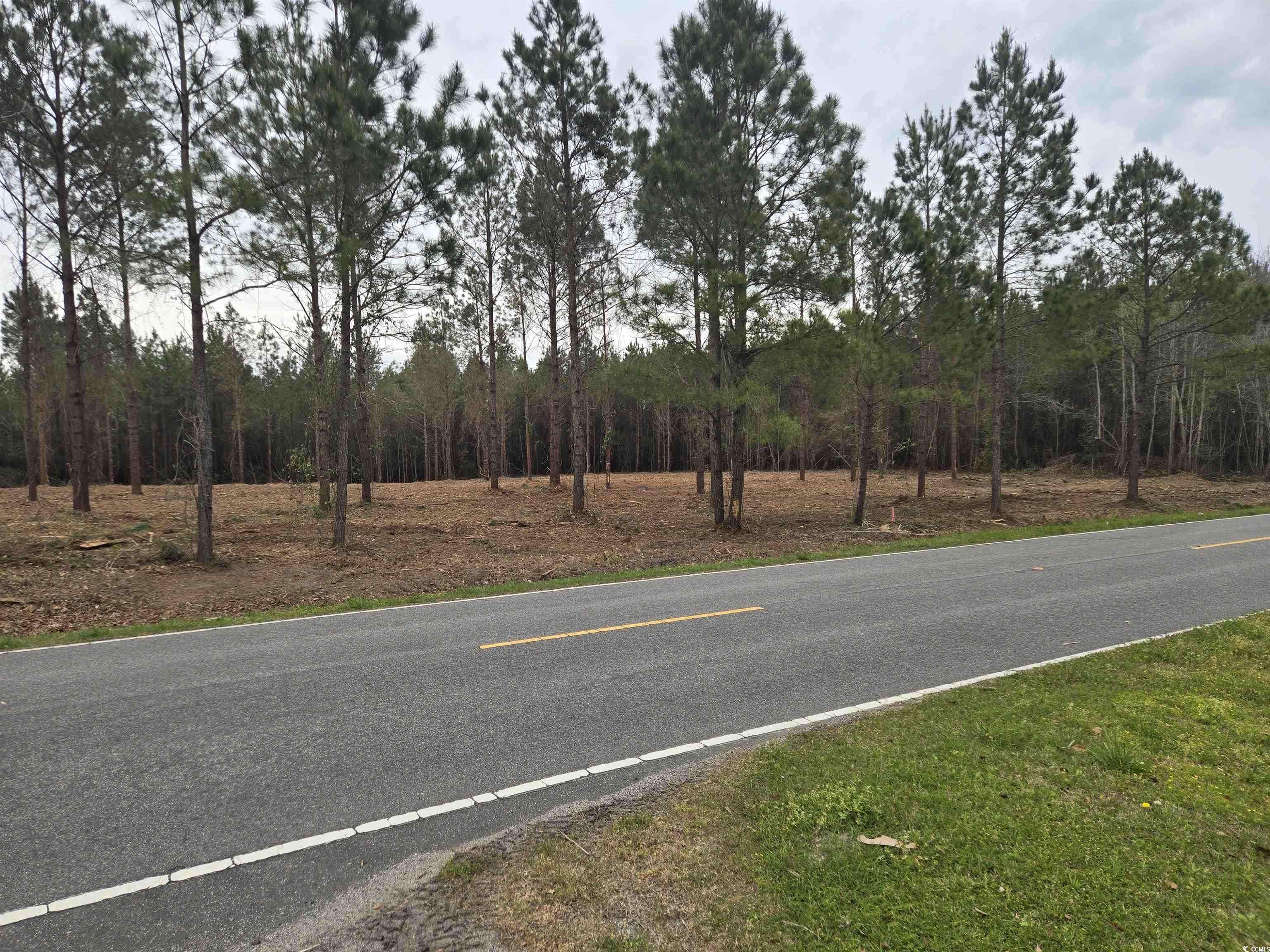 Loris, SC 29569,TBD Oakdale Rd.