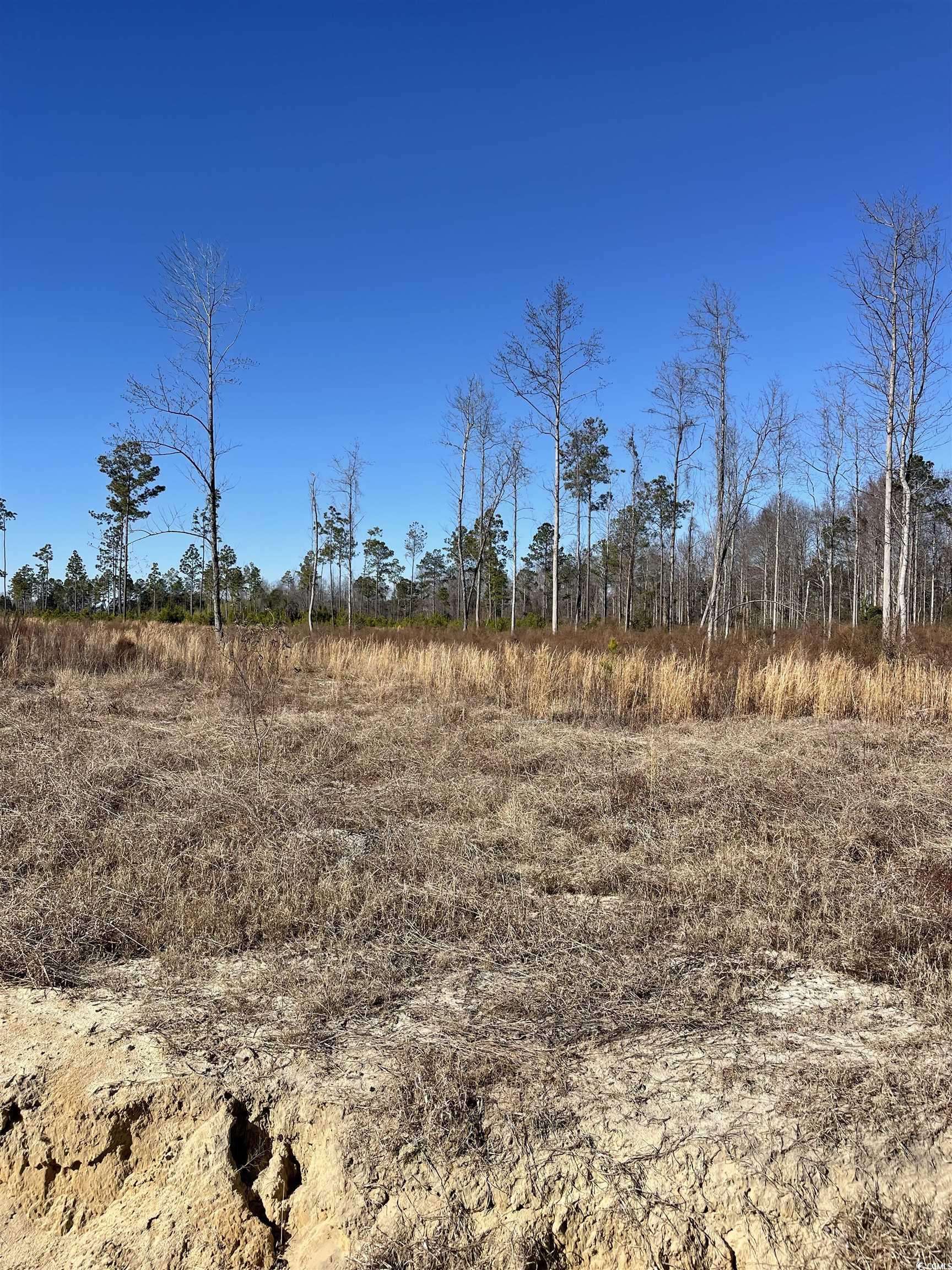 Loris, SC 29569,2686 Scarbrough Dr.