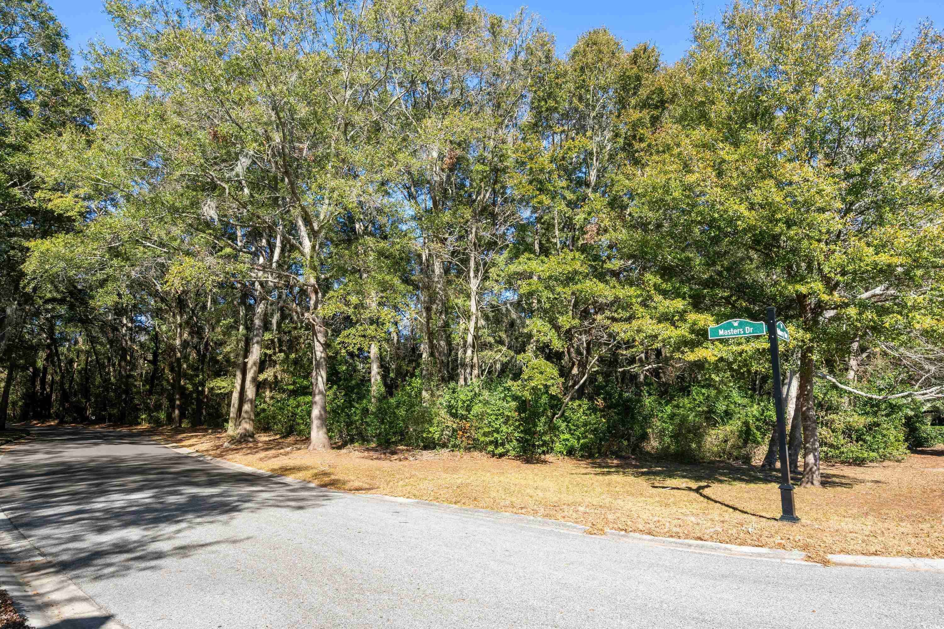 Pawleys Island, SC 29585,LOTS 20 & 20B Masters Dr.