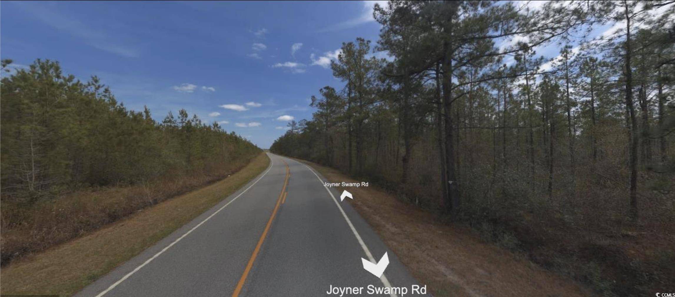 Galivants Ferry, SC 29544,TBD Joyner Swamp Rd.