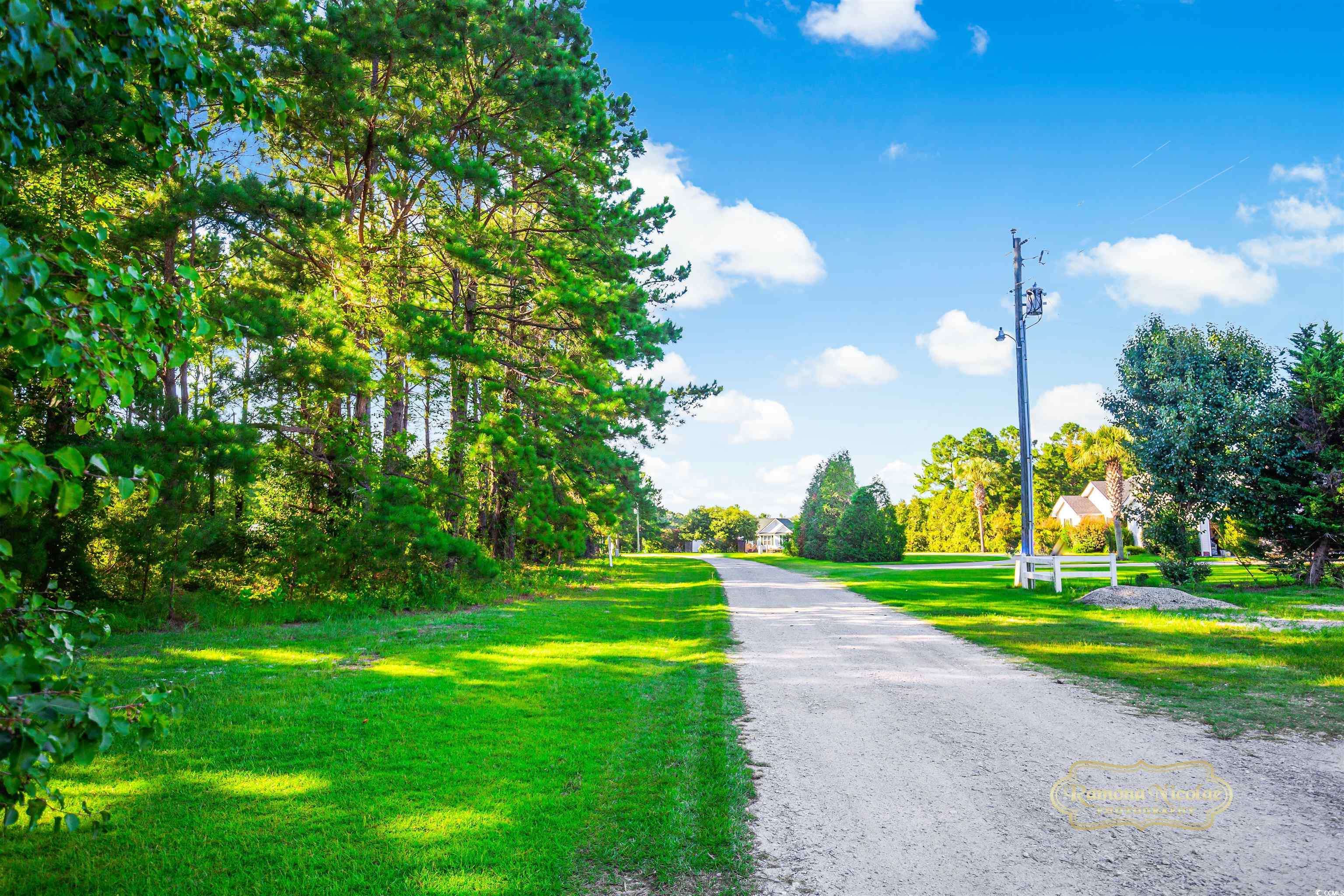 Galivants Ferry, SC 29544,1009 Happy Ln.