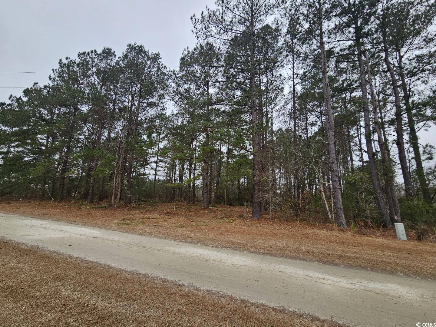 Galivants Ferry, SC 29544,1009 Happy Ln.