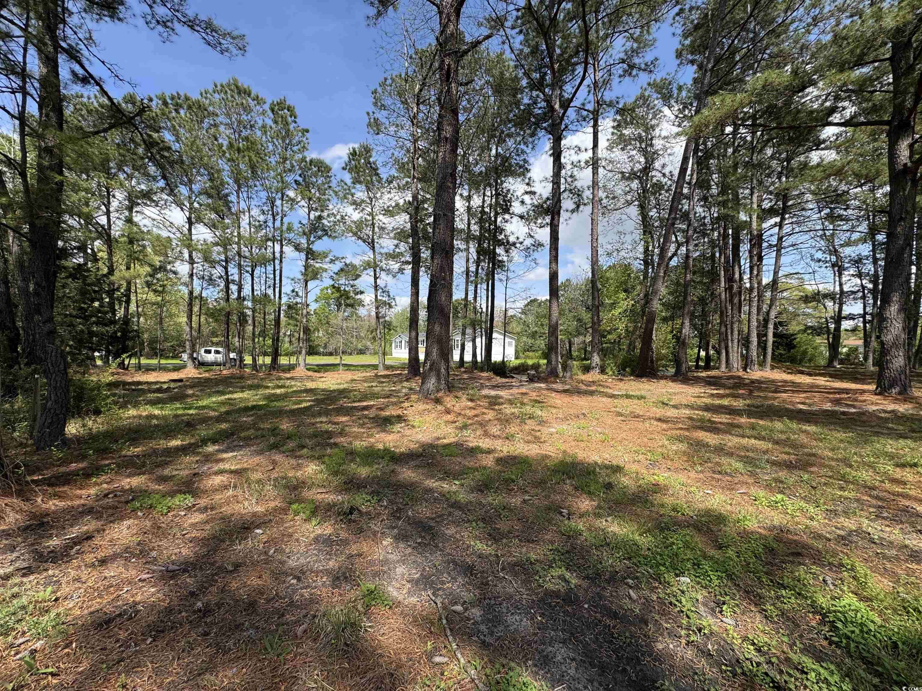Conway, SC 29526,4092 Still Pond Rd.