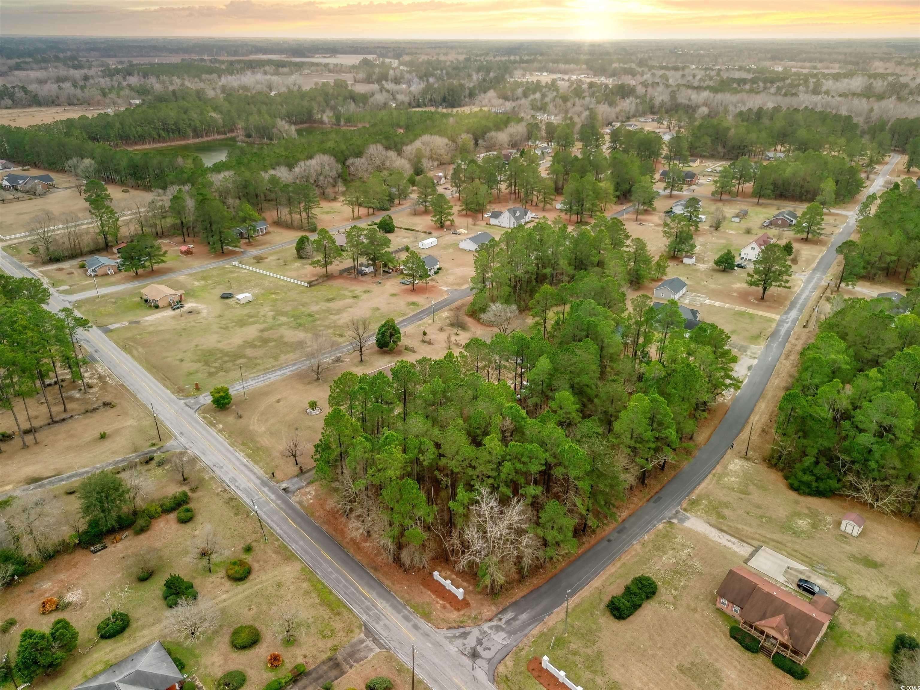 Marion, SC 29571,Lot 1 C Peach Tree Rd.