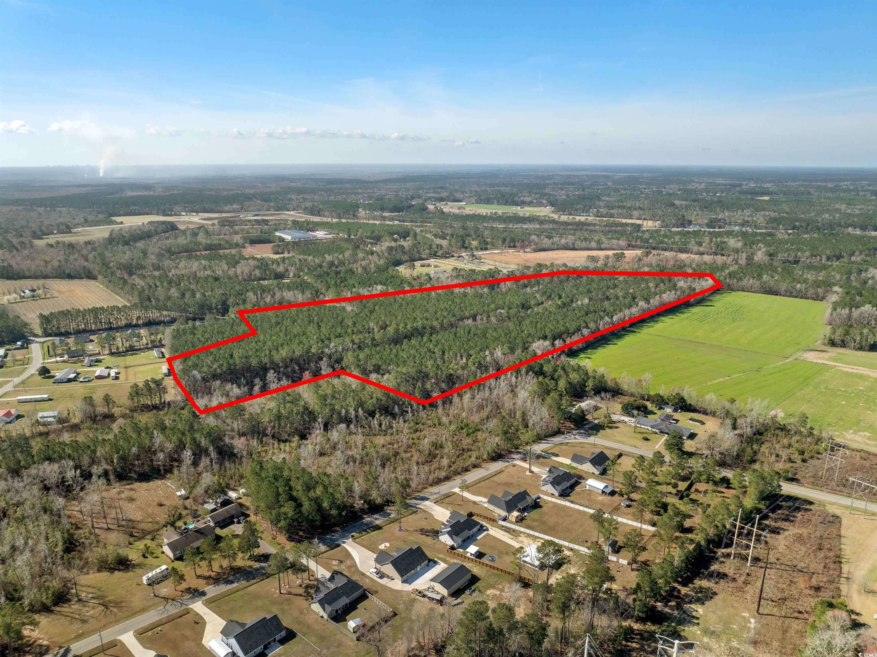 Loris, SC 29569,TBD Daphane Dr. #Entire