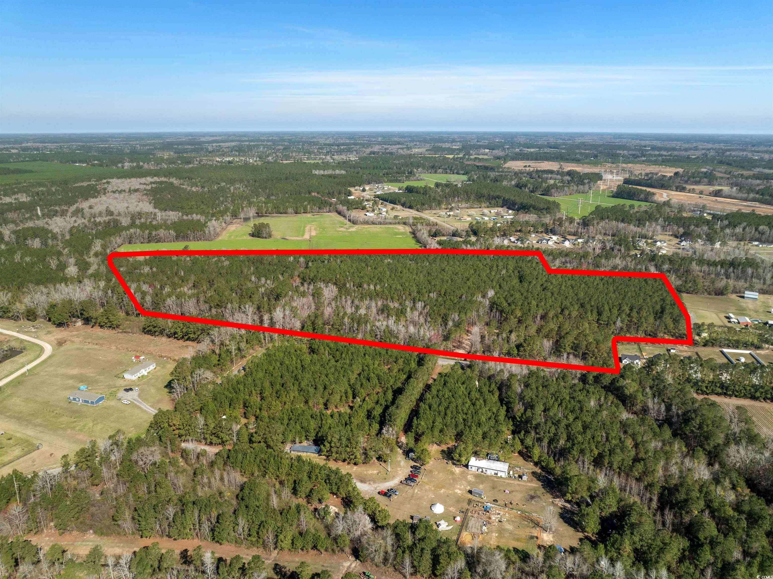Loris, SC 29569,TBD Daphane Dr. #Entire