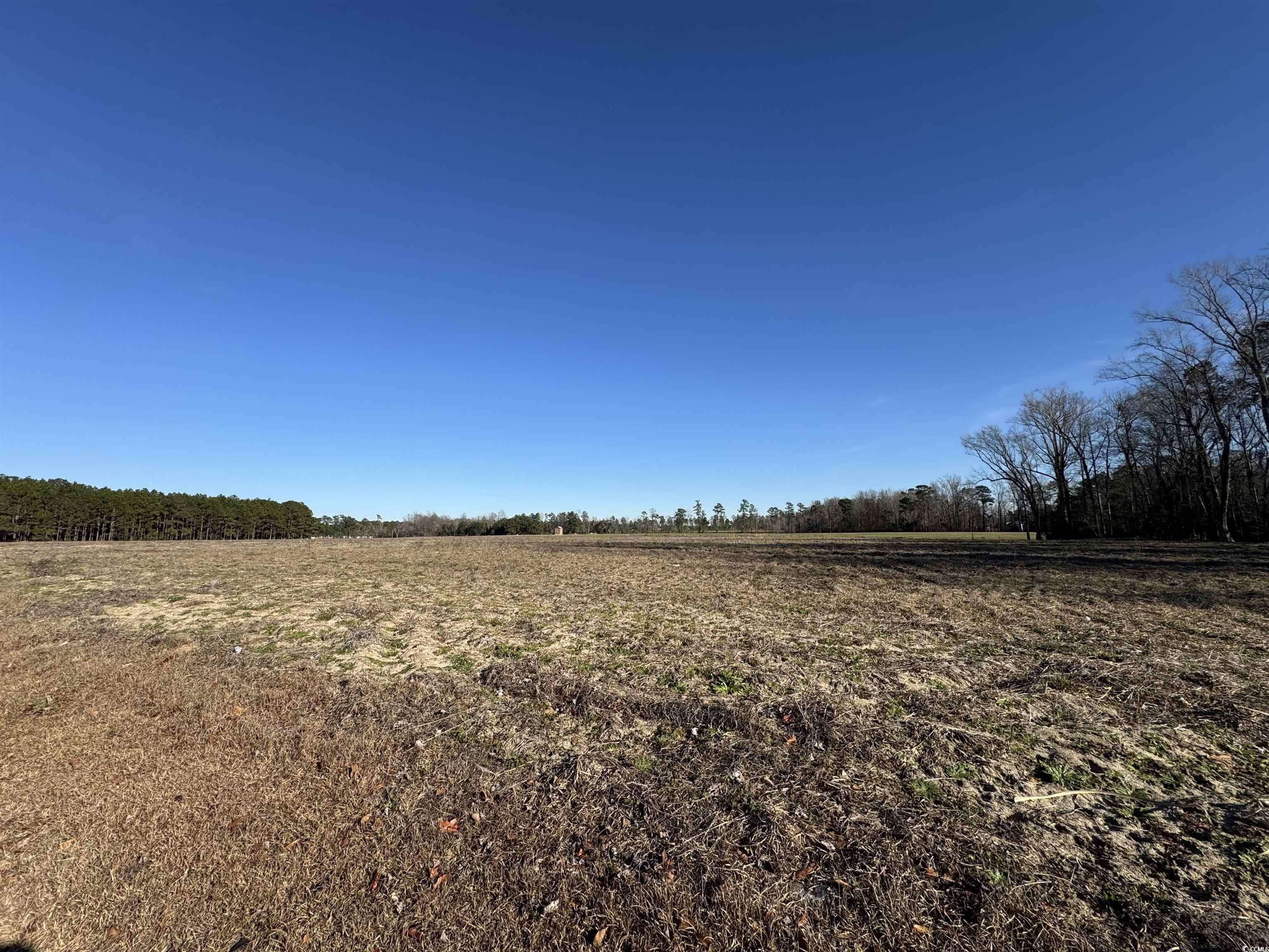 Loris, SC 29569,TBD Ino Dr.