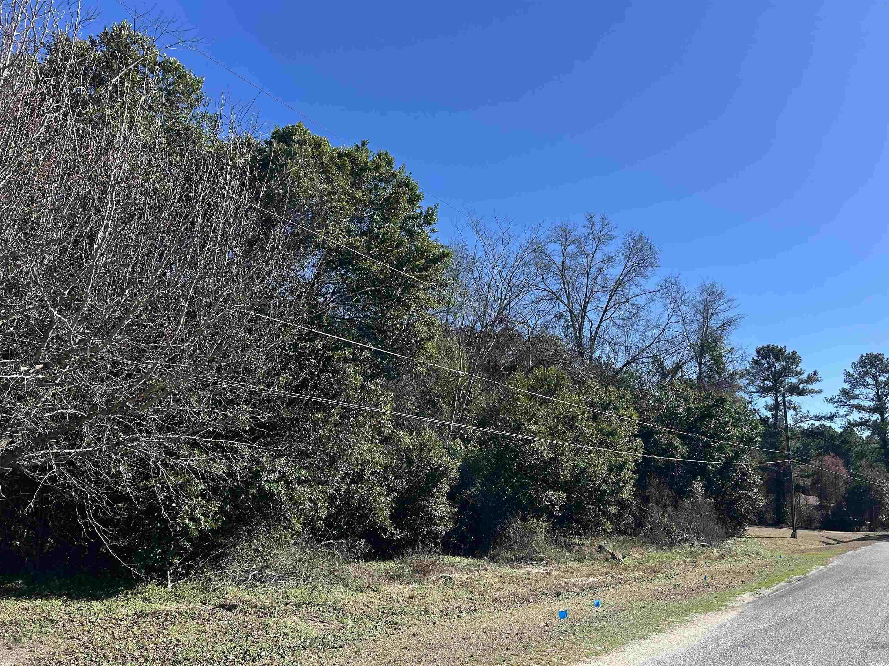 Dillon, SC 29536,TBD Legion St.