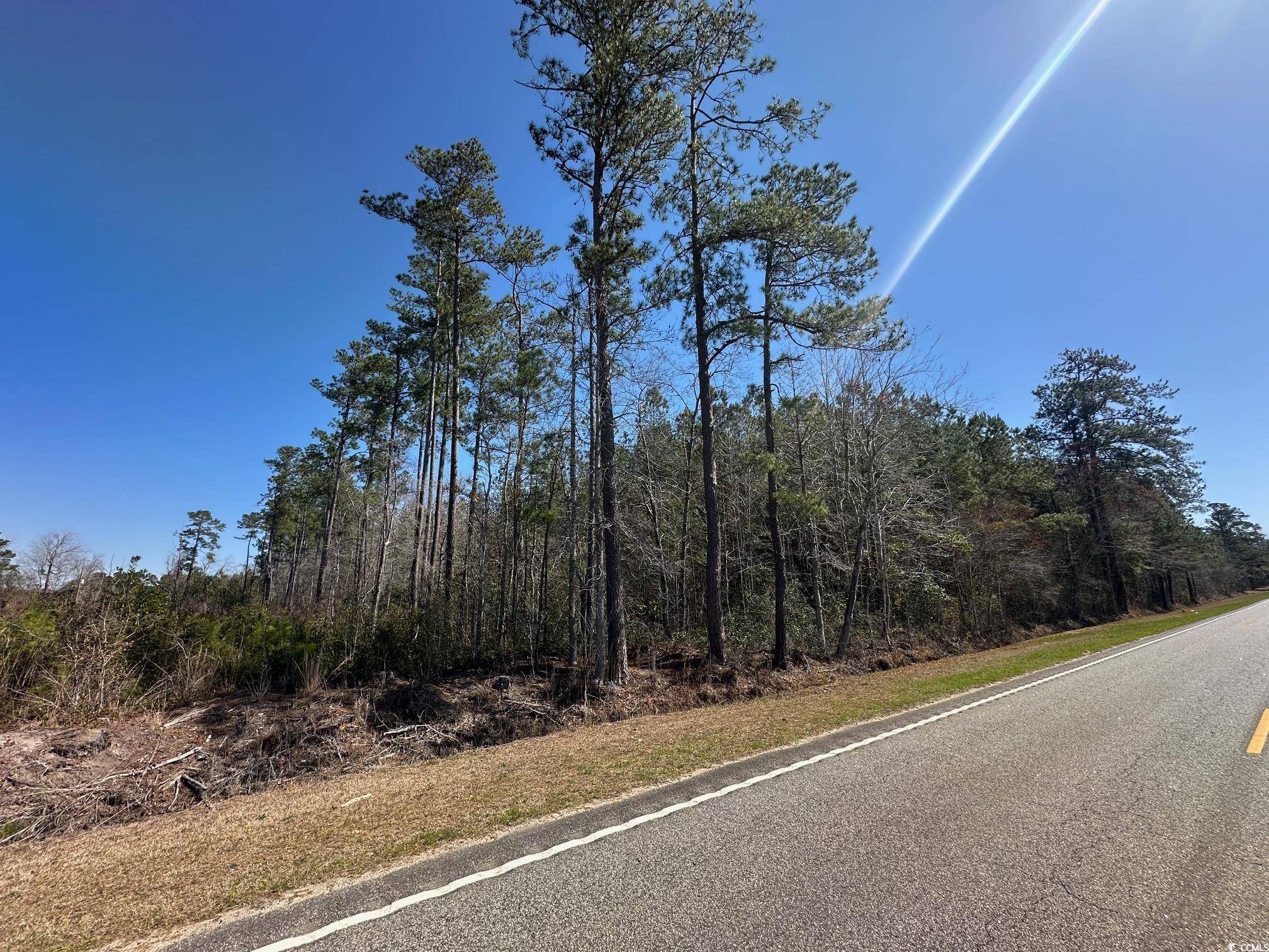 Galivants Ferry, SC 29544,TBD Joyner Swamp Rd.