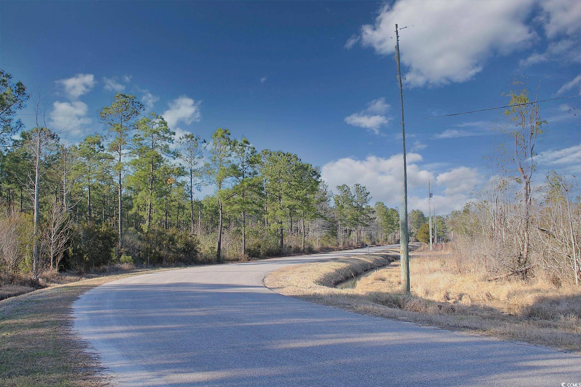 Conway, SC 29526,TBD Hugo Rd.