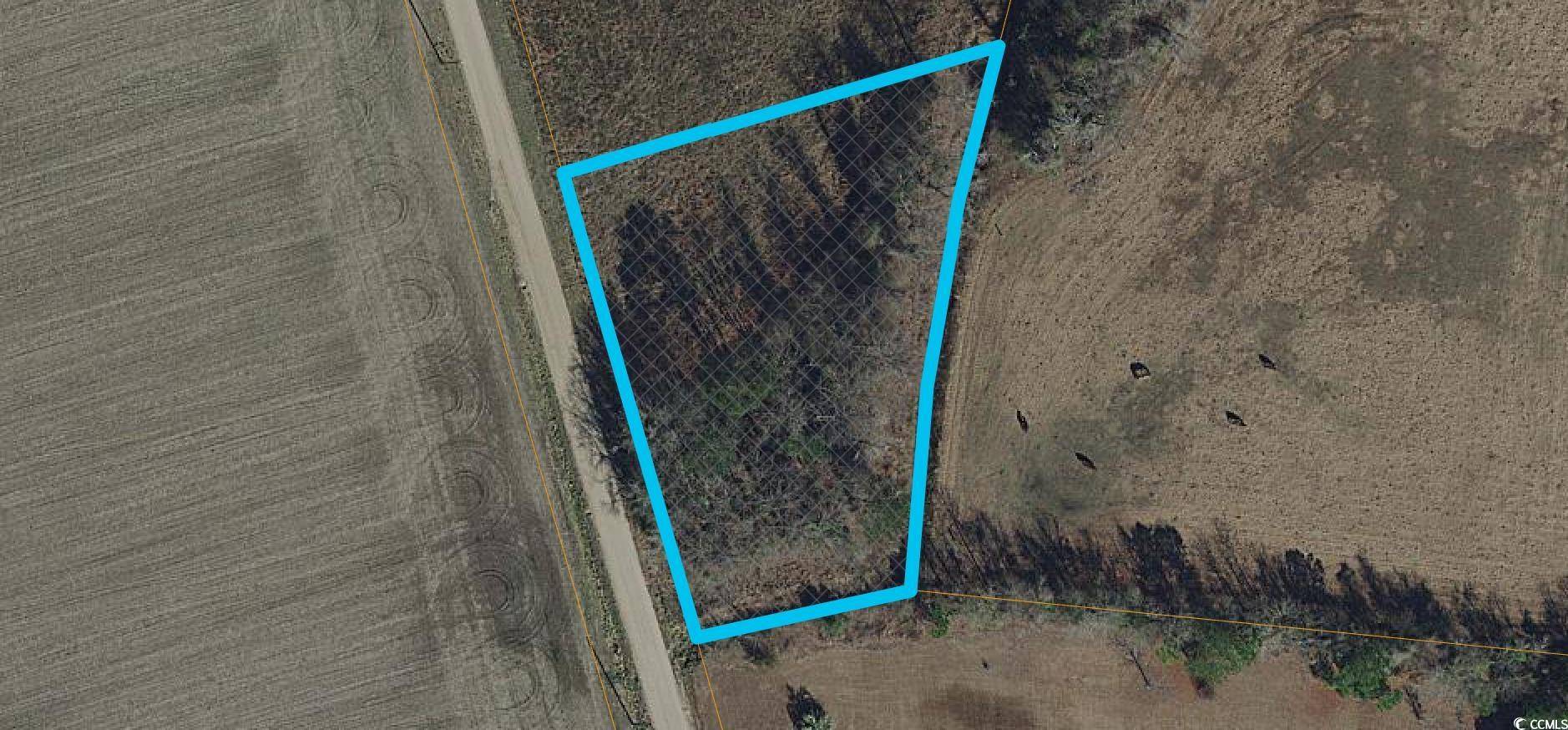 Loris, SC 29569,Tract F Inglewood Dr.