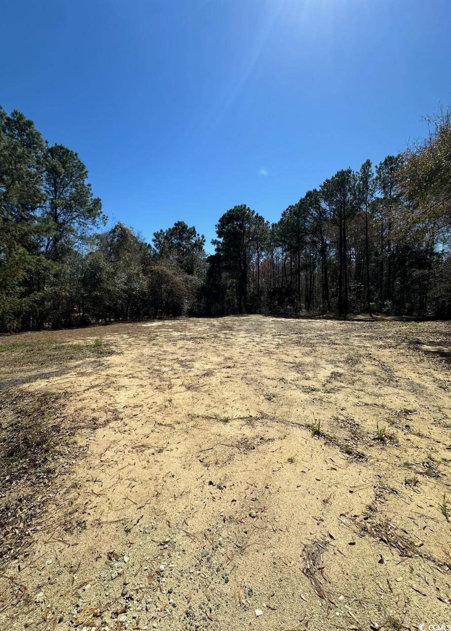 Pawleys Island, SC 29585,TBD Black Gum Rd.