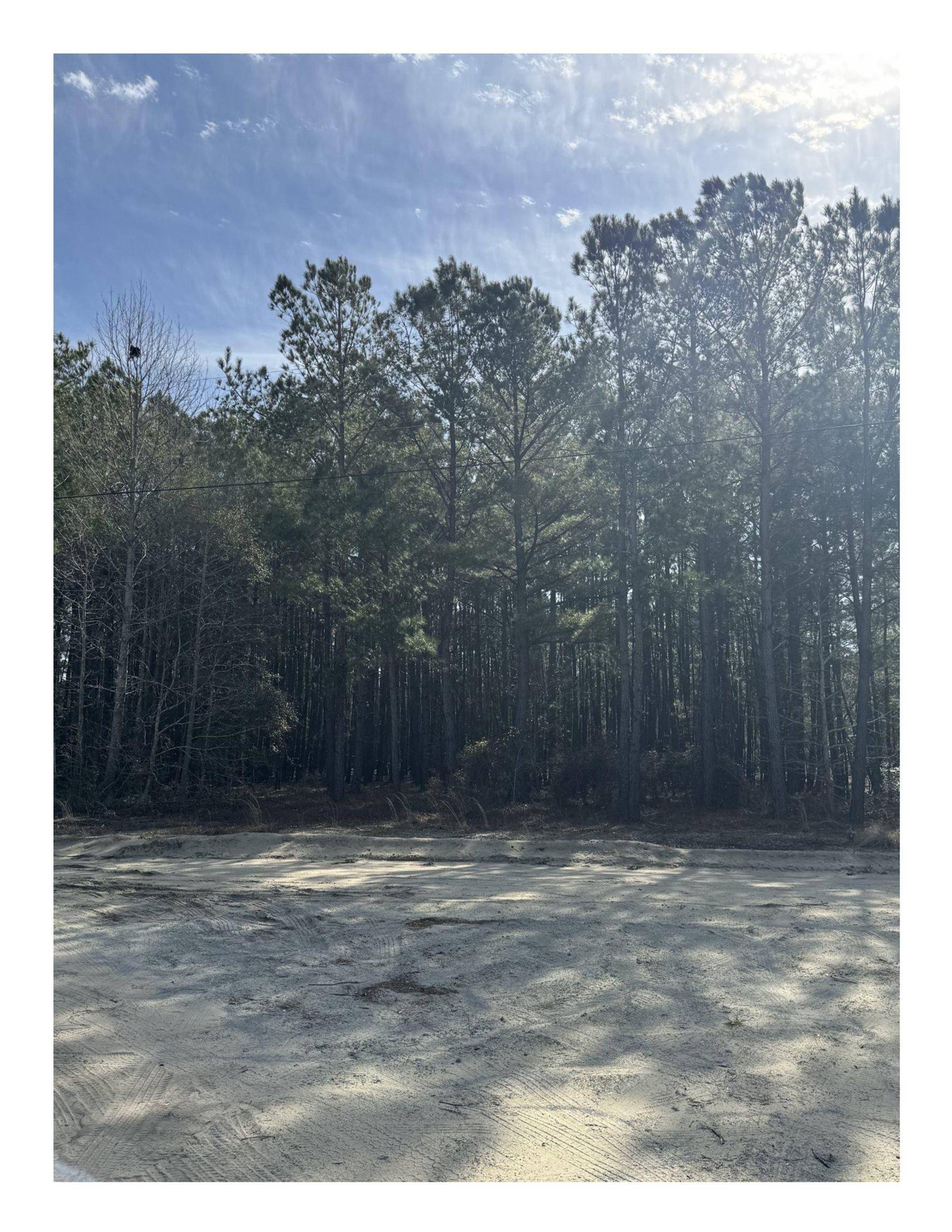 Nichols, SC 29581,TBD Thompson Rd.