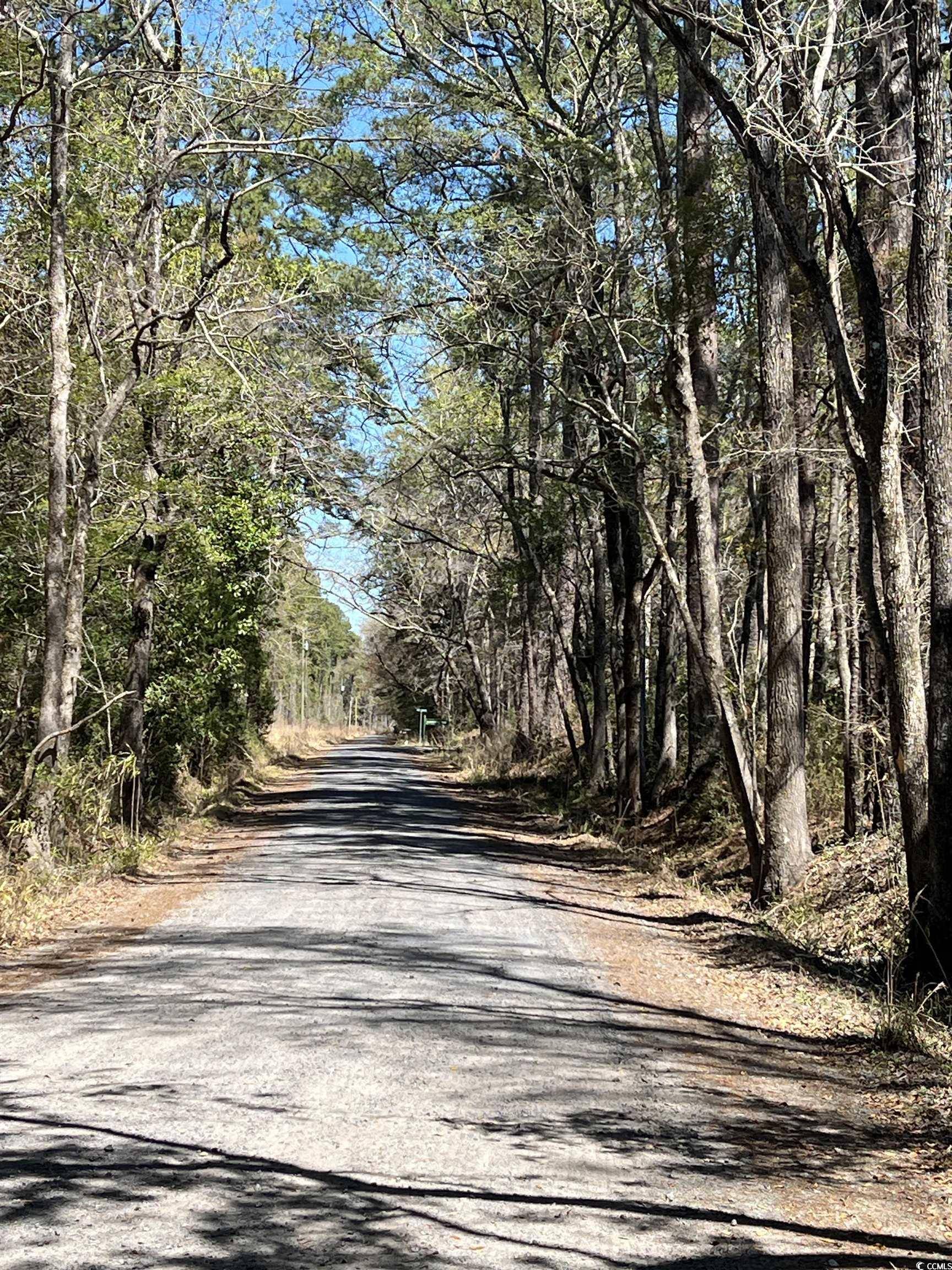 Georgetown, SC 29440,Lot 9 Samworth Loop