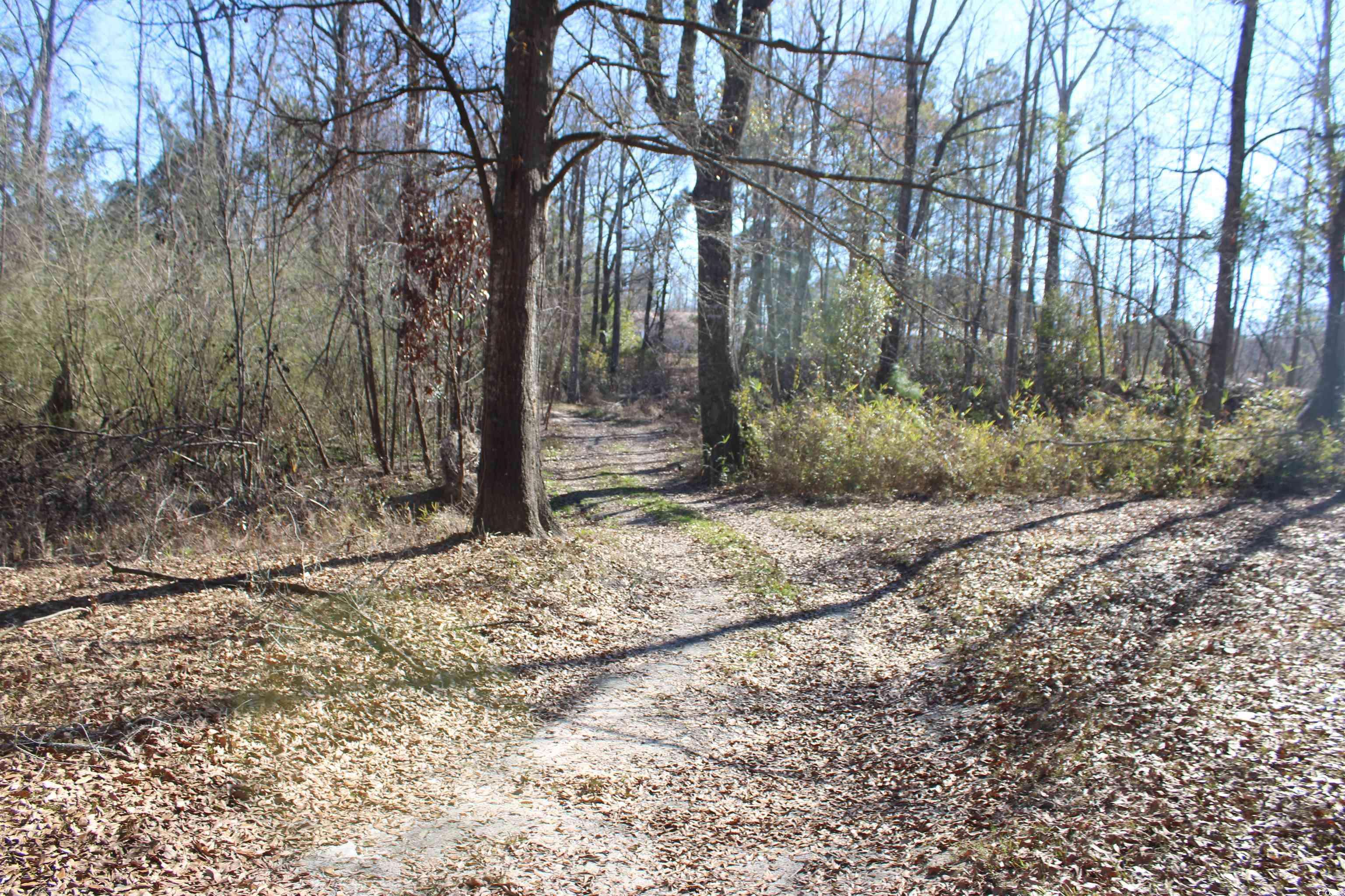 Johnsonville, SC 29555,2226 Durant Cemetary Rd.