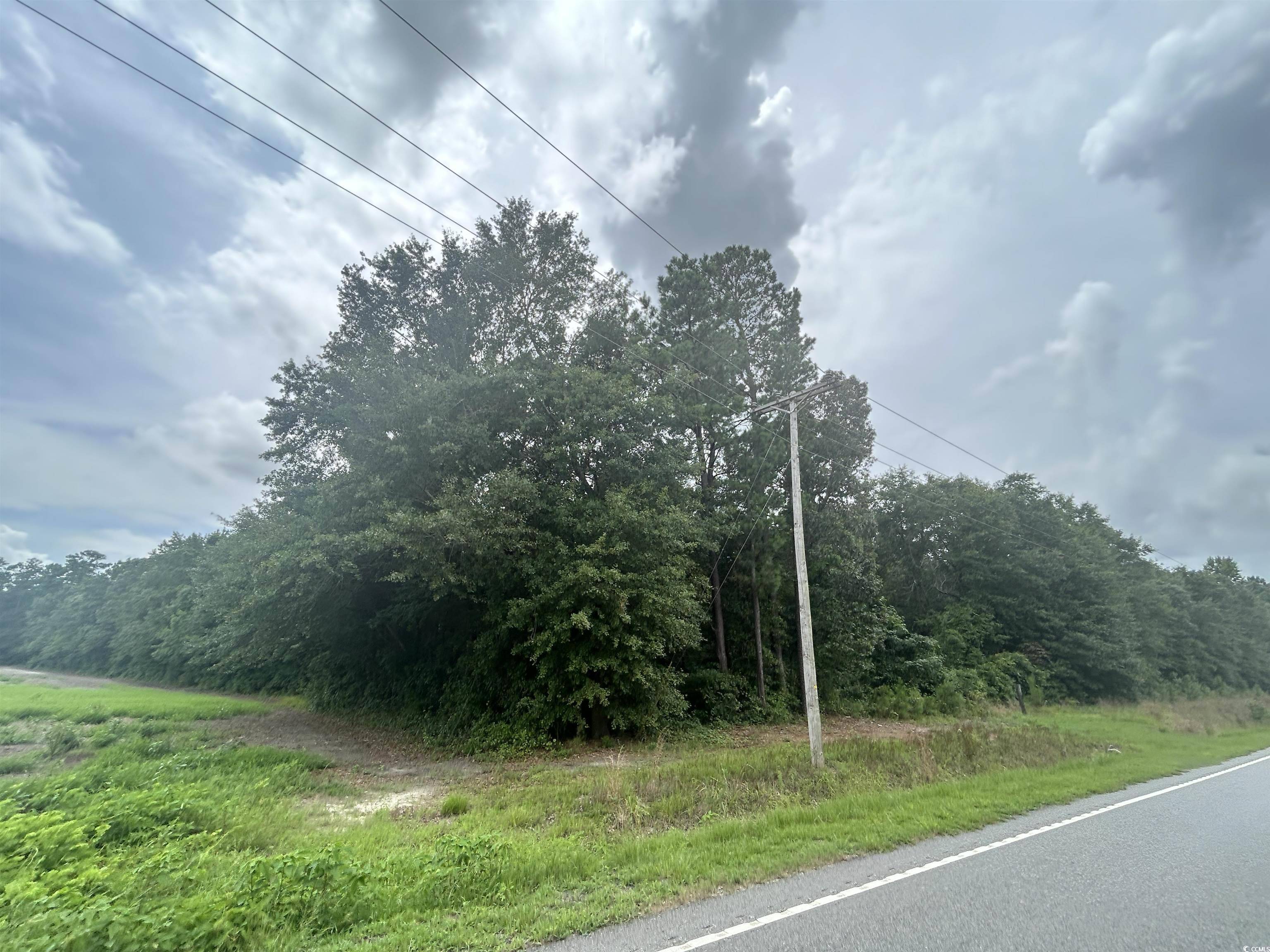 Galivants Ferry, SC 29544,TBD Highway 308