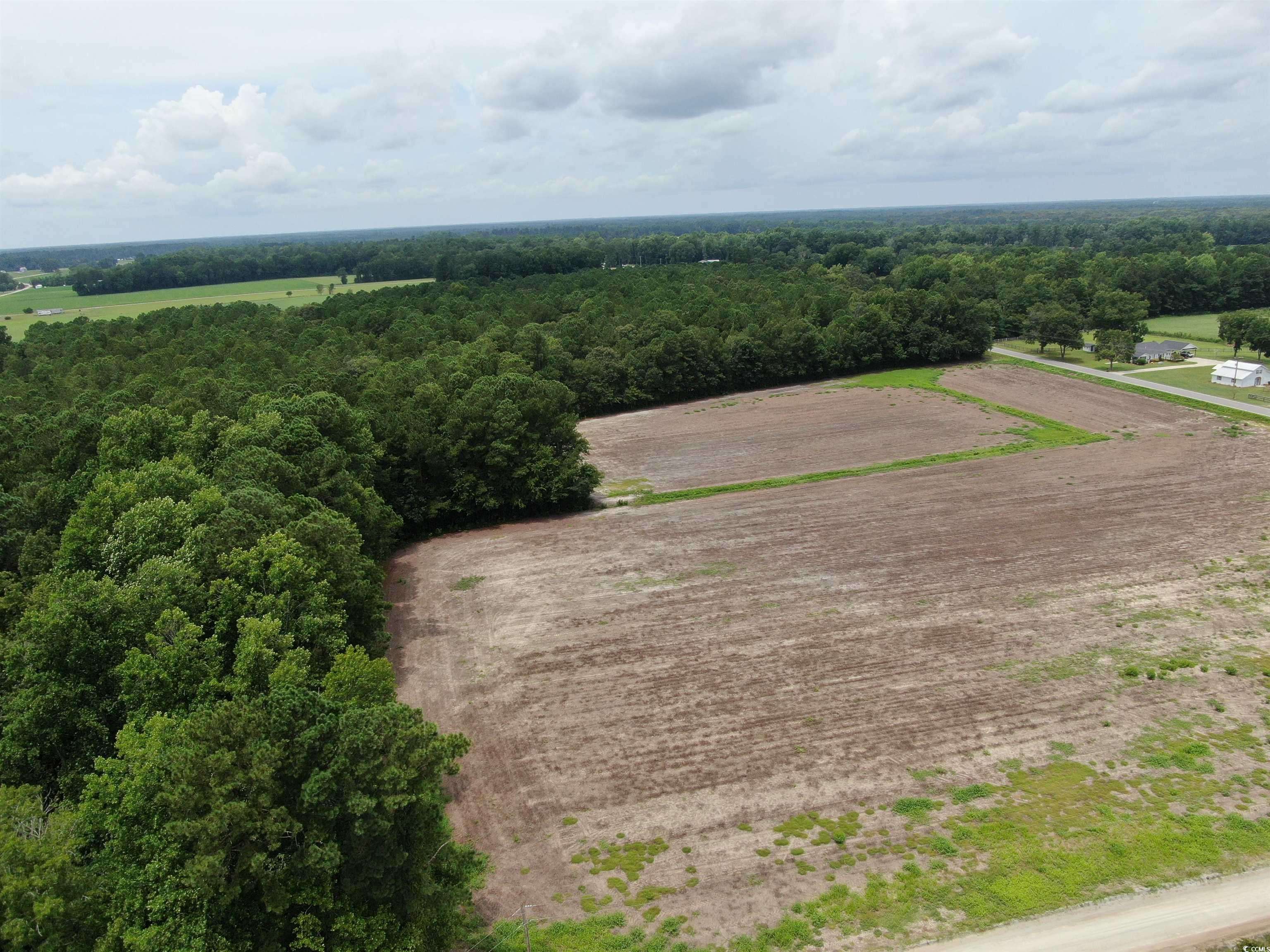 Galivants Ferry, SC 29544,TBD Highway 308