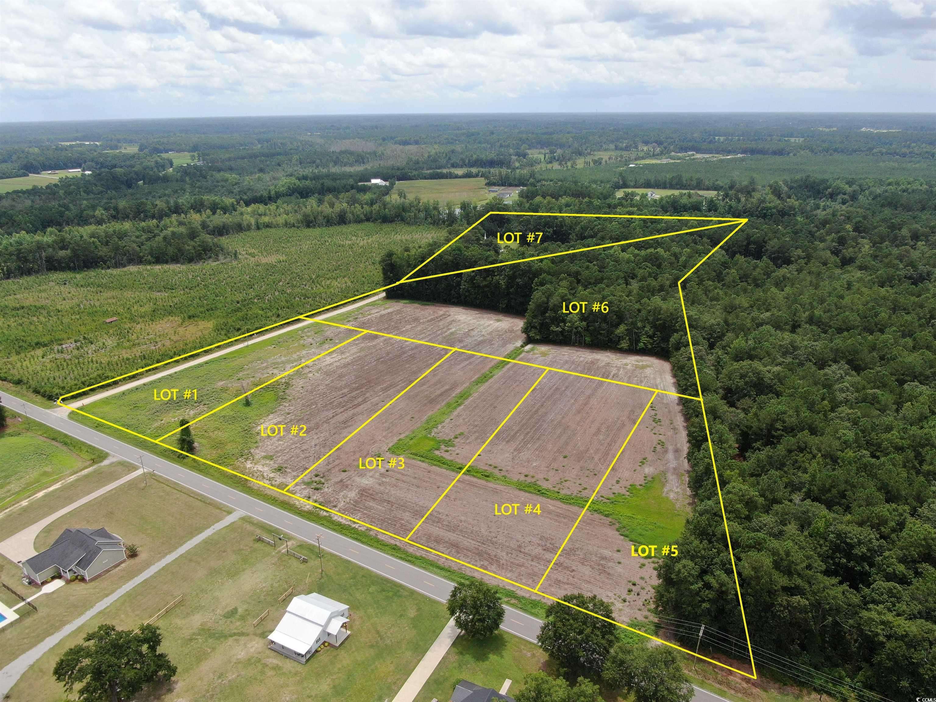 Galivants Ferry, SC 29544,TBD Highway 308