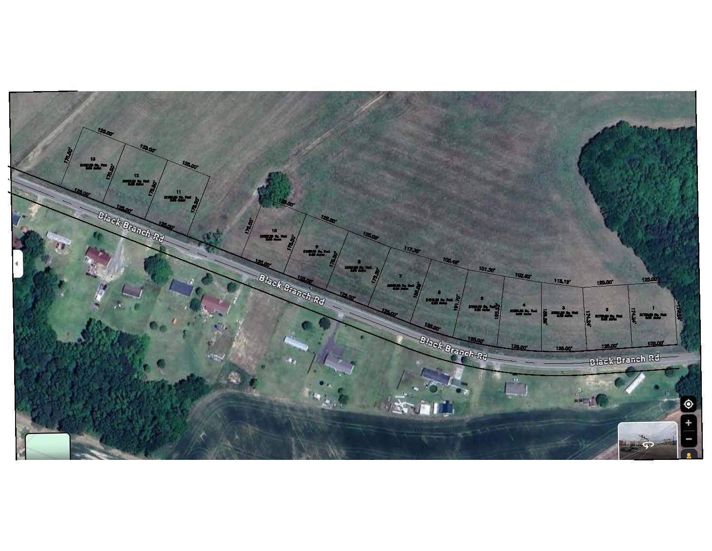 Dillon, SC 29536,lot 12 Black Branch Rd.