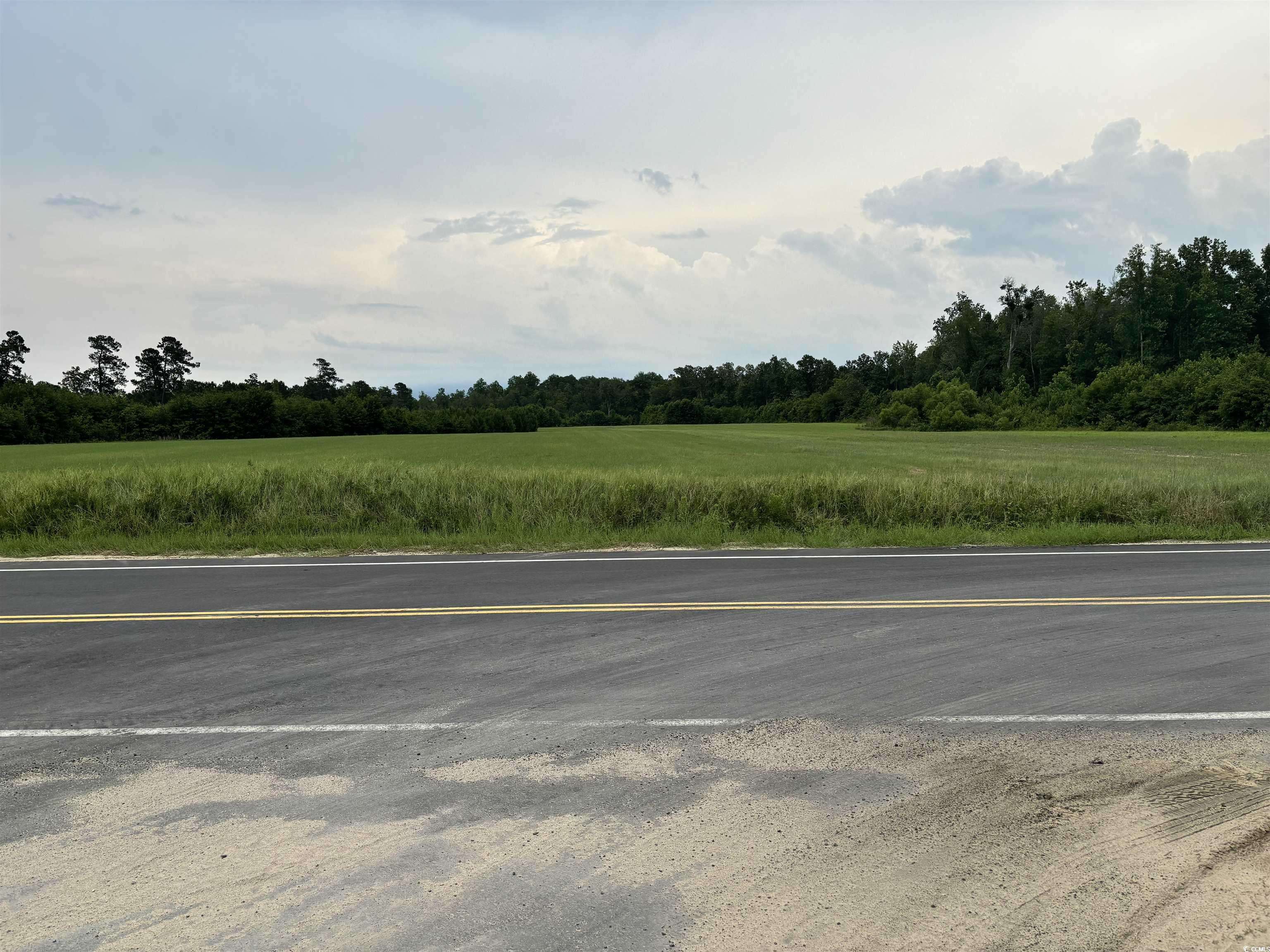Loris, SC 29569,TBD Mill Pond Rd.