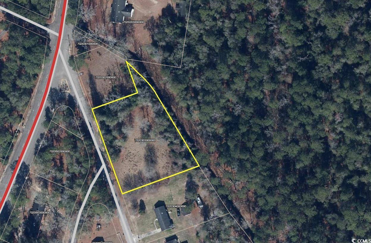 Nichols, SC 29581,TBD Nichols St.