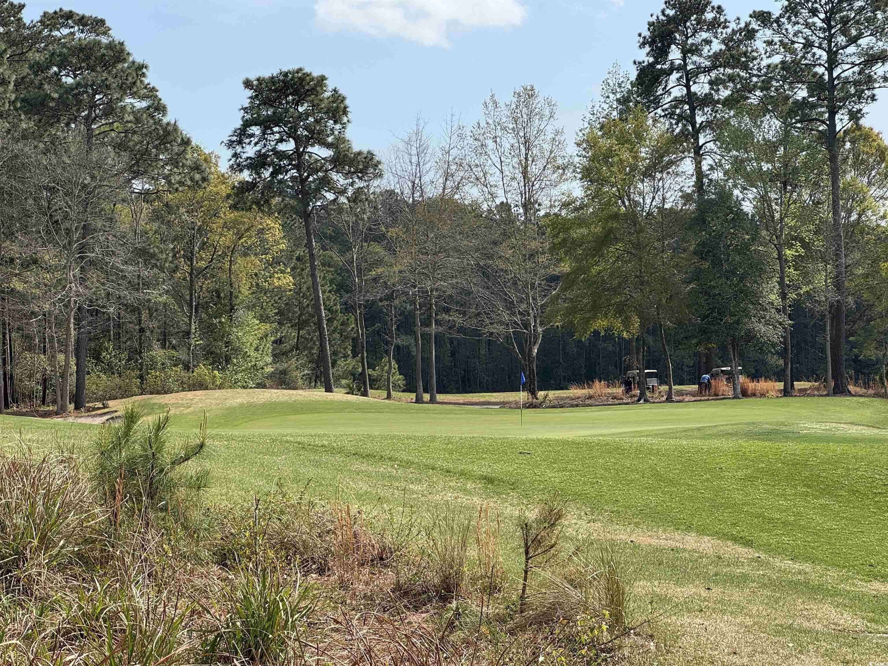 Pawleys Island, SC 29585,524 Pinehurst Ln. #19D
